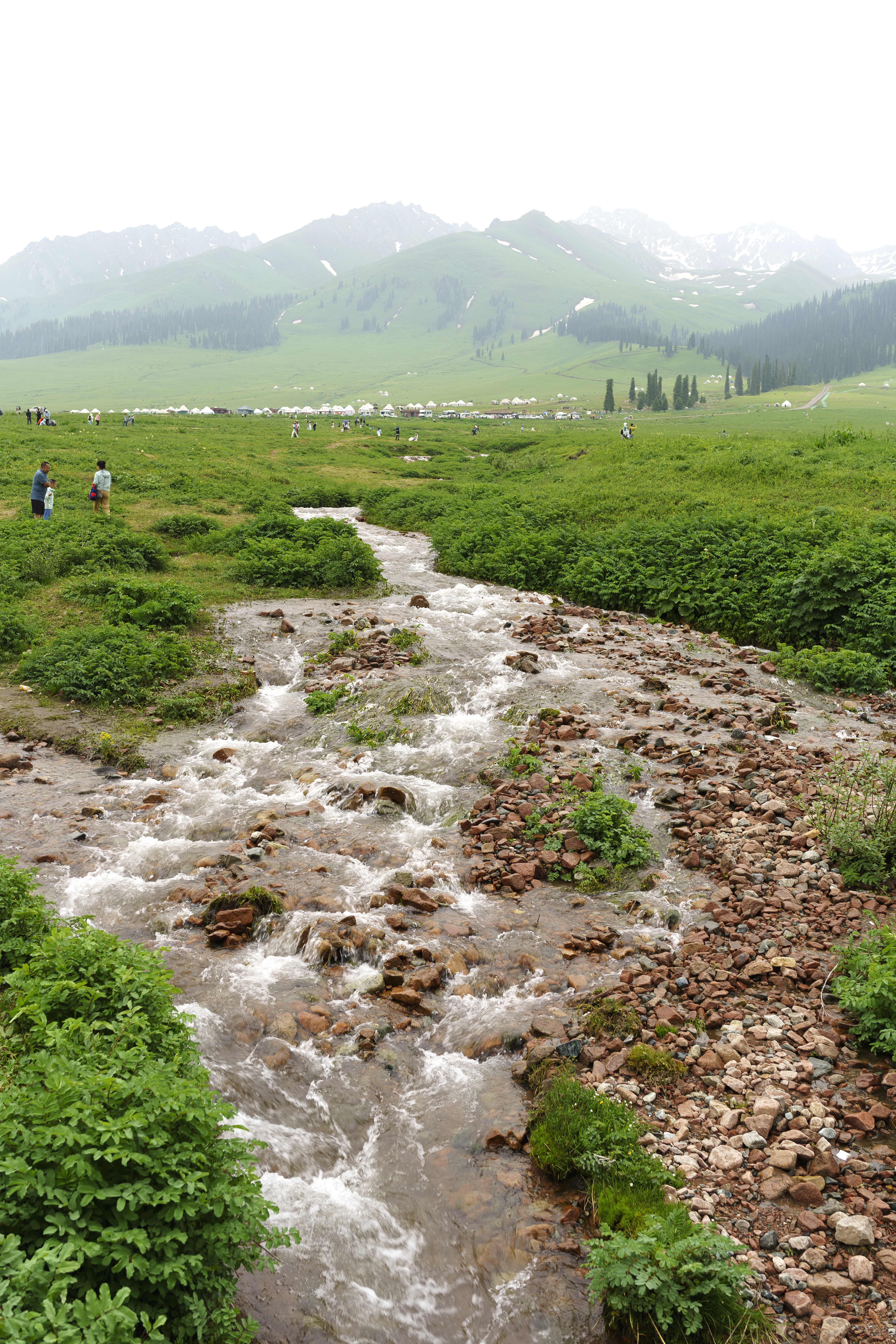 Landscape Creeks Grass China Xinjiang Mountains Portrait Display Water Nature Trees Snow Rocks 3921x5881