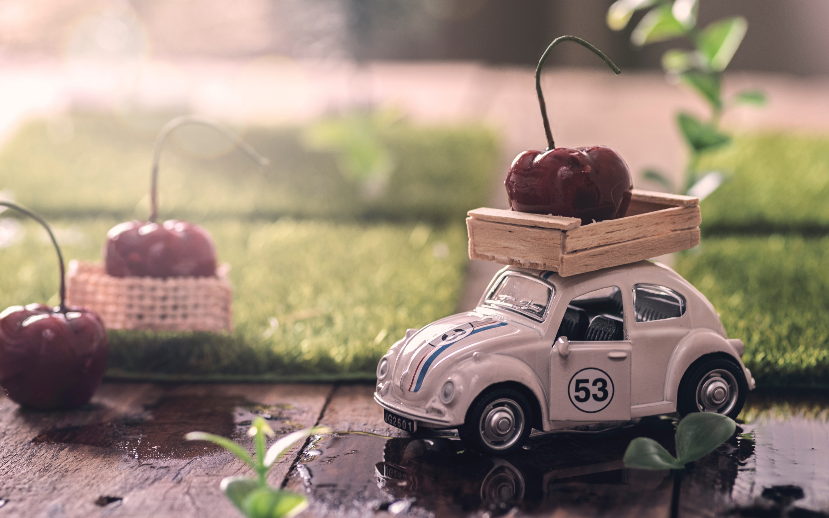Car Miniatures Volkswagen Beetle Toys Fruit Cherries Grass Plants Leaves Water Photography Closeup 2880x1800
