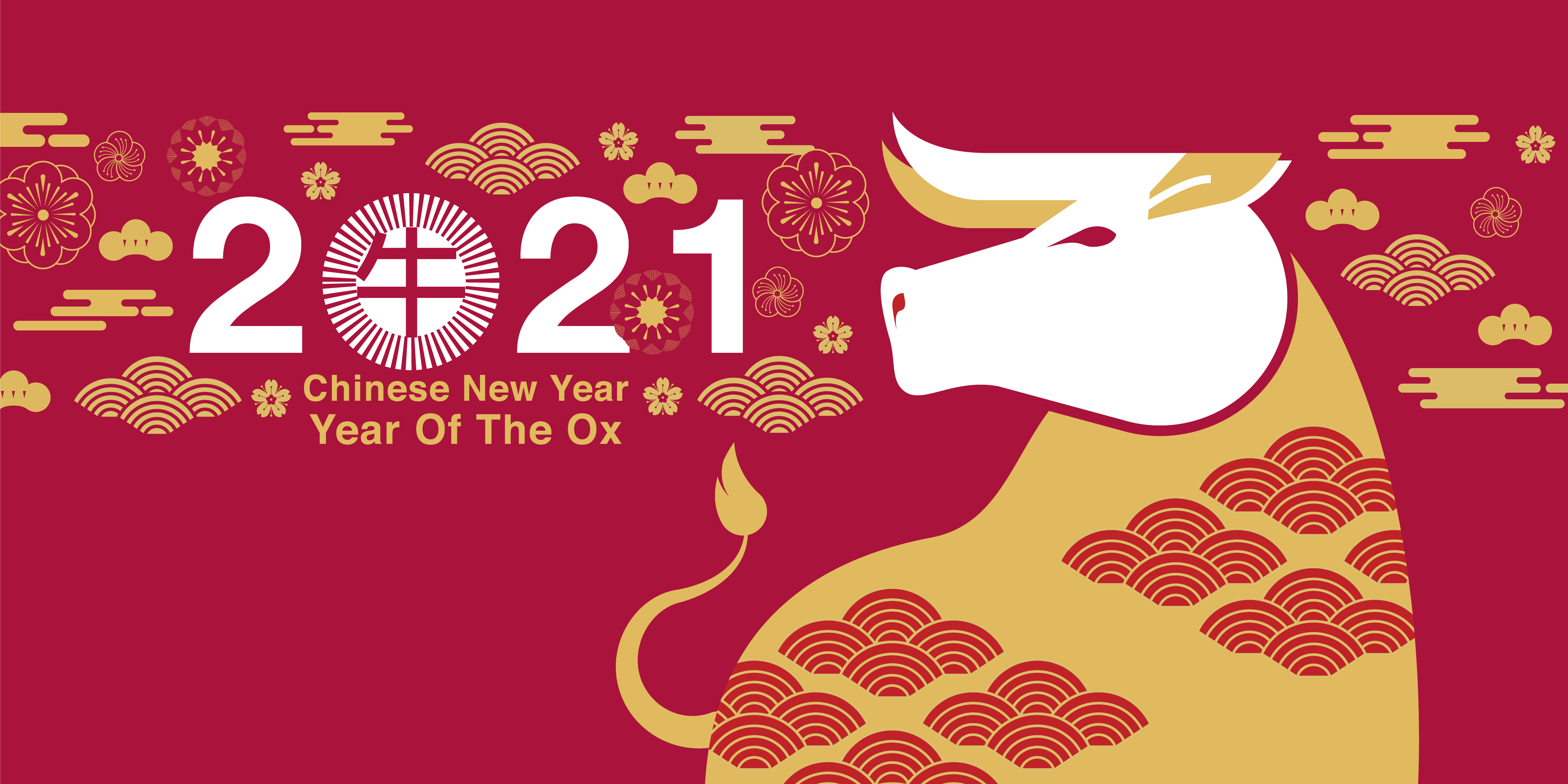 Holiday Chinese New Year 6001x3000