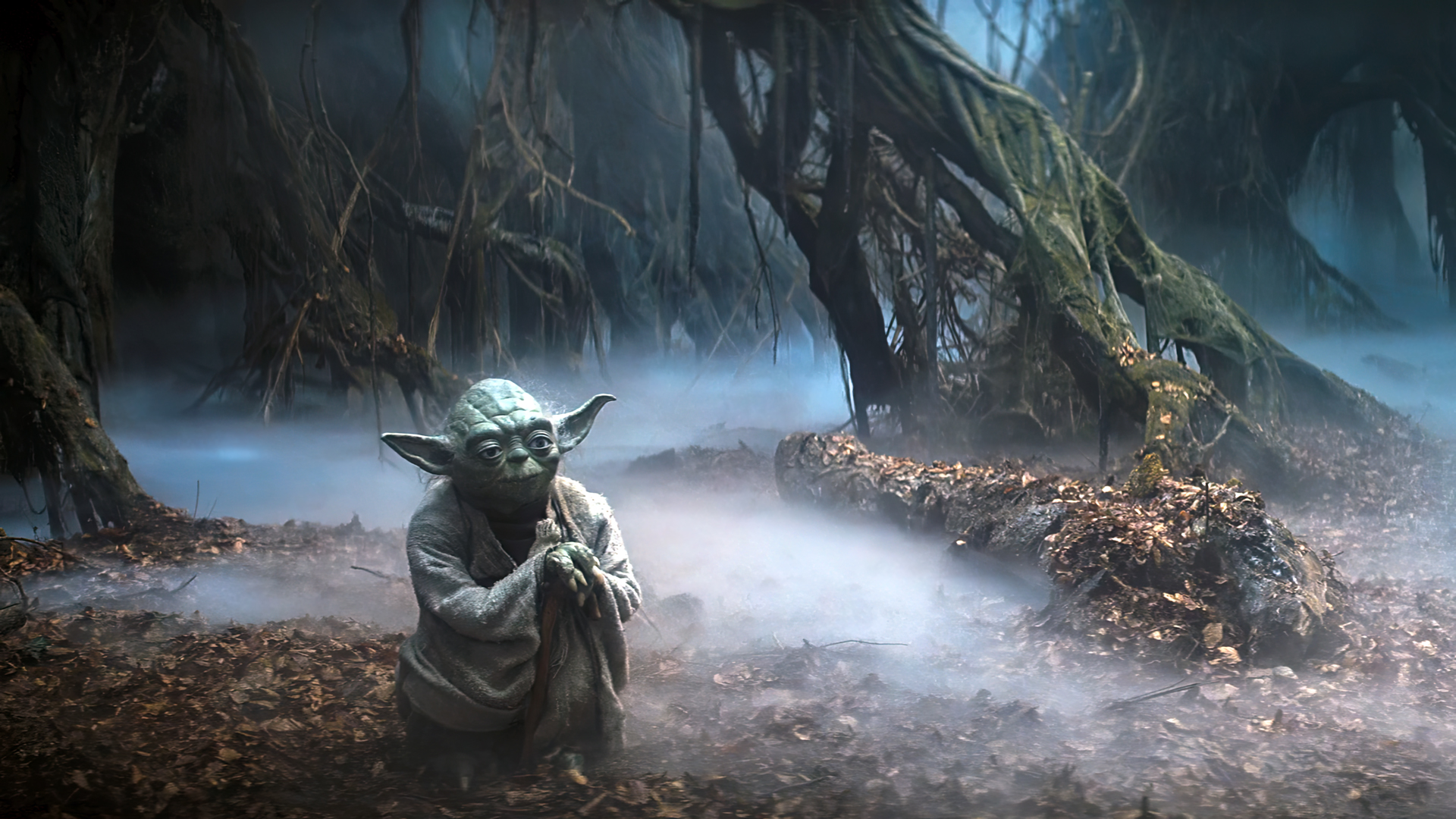 Star Wars Episode V The Empire Strikes Back Movies Film Stills Yoda Dagobah Jungle Mist Trees Leaves 1920x1080