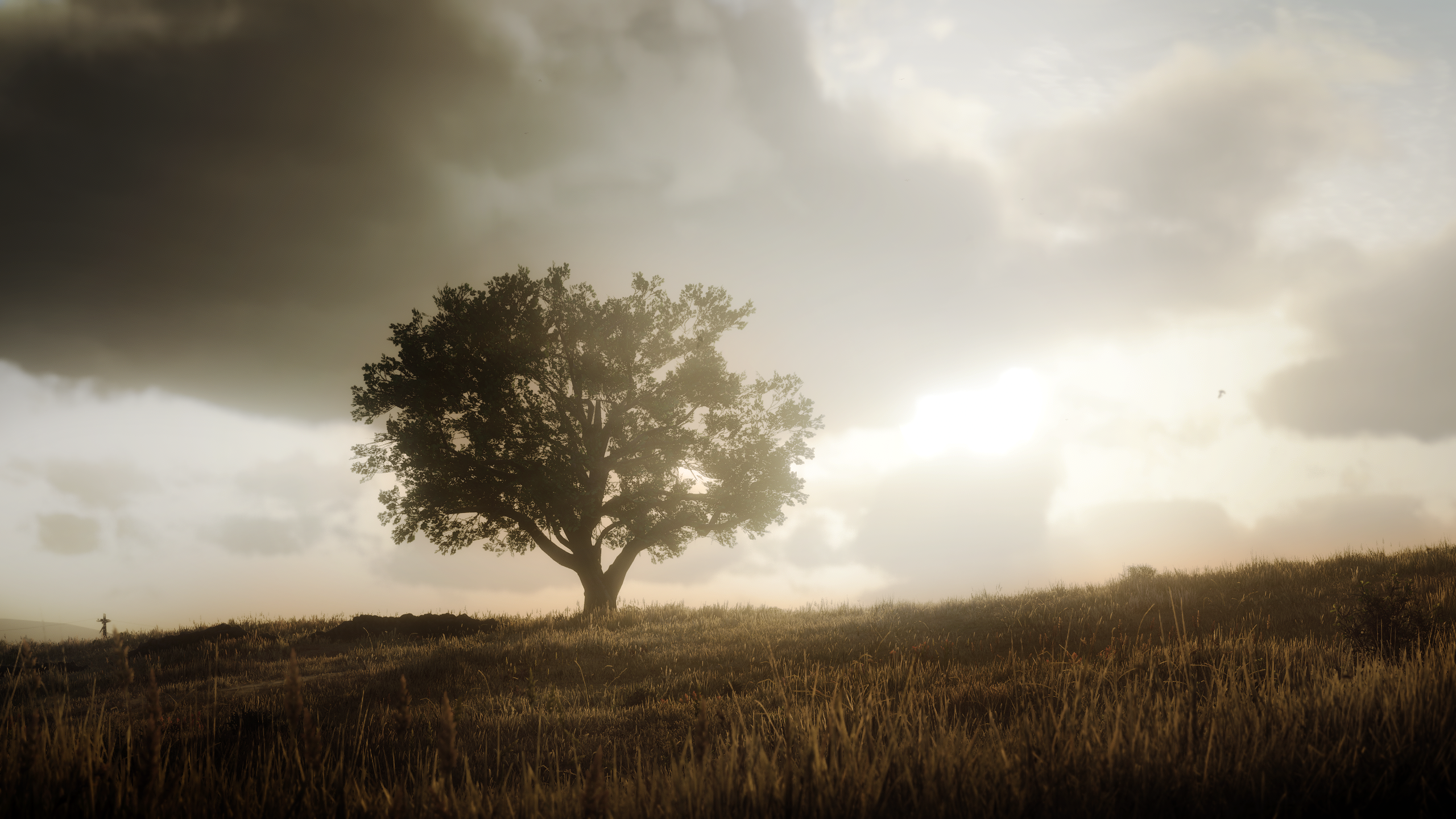 Red Dead Redemption 2 High Noon Trees Forest Daylight Grass Dry Digital Art 2560x1440