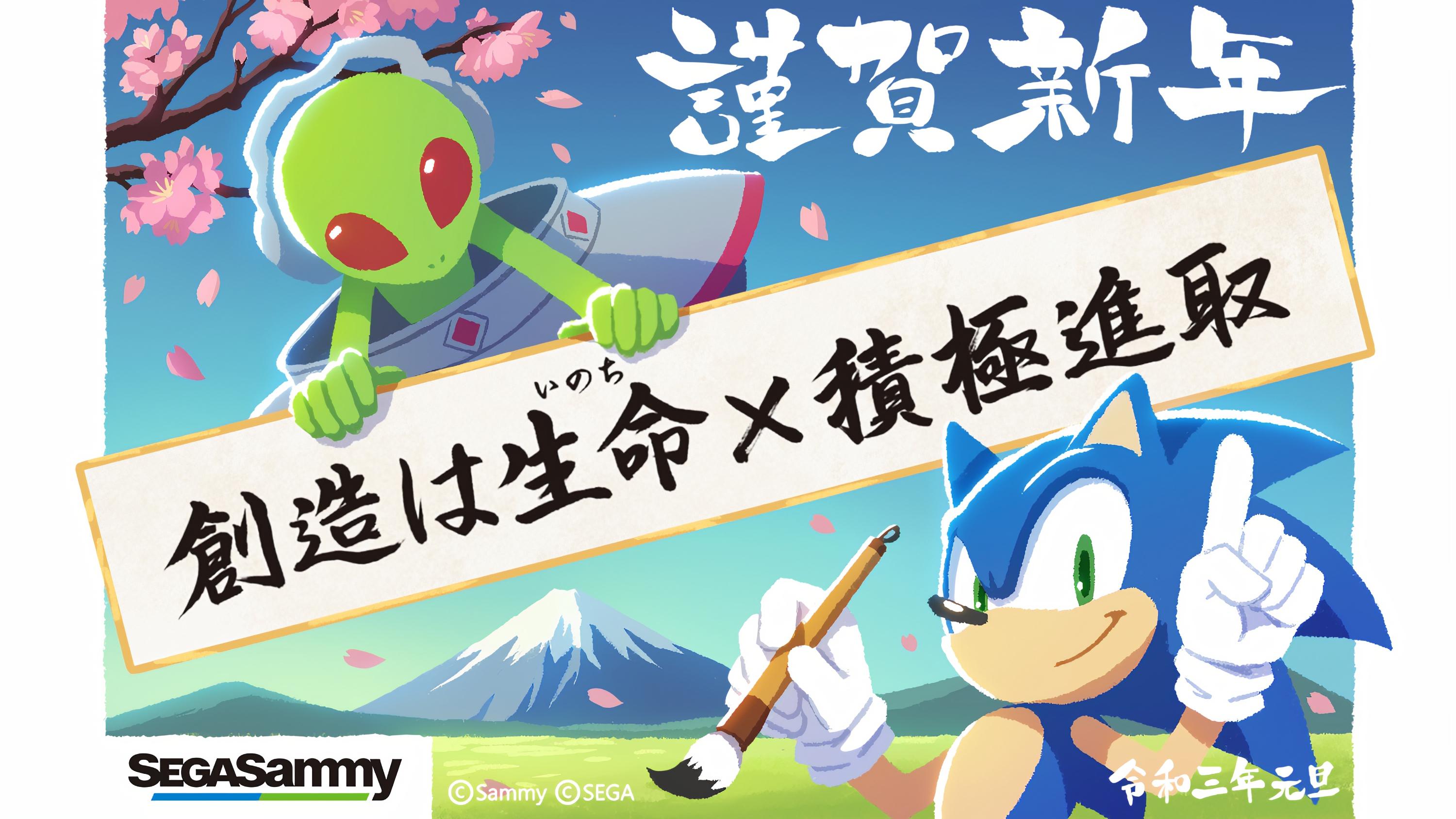 Yui Karasuno Anthro Sonic Sonic The Hedgehog Sega Video Game Art Video Game Characters PC Gaming New 3000x1688