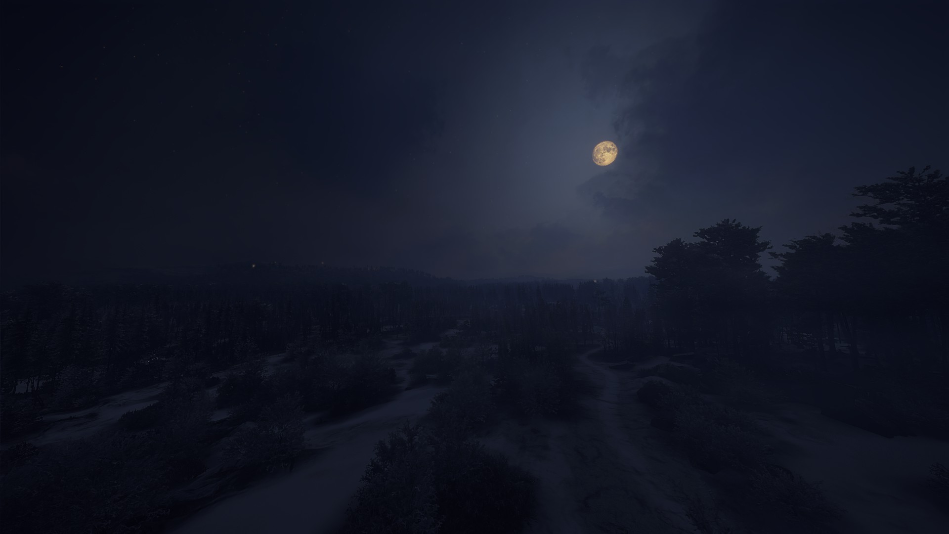TheHunter Call Of The Wild Screen Shot Wilderness Trees Landscape Snow Night Clouds Video Game Art V 1920x1080
