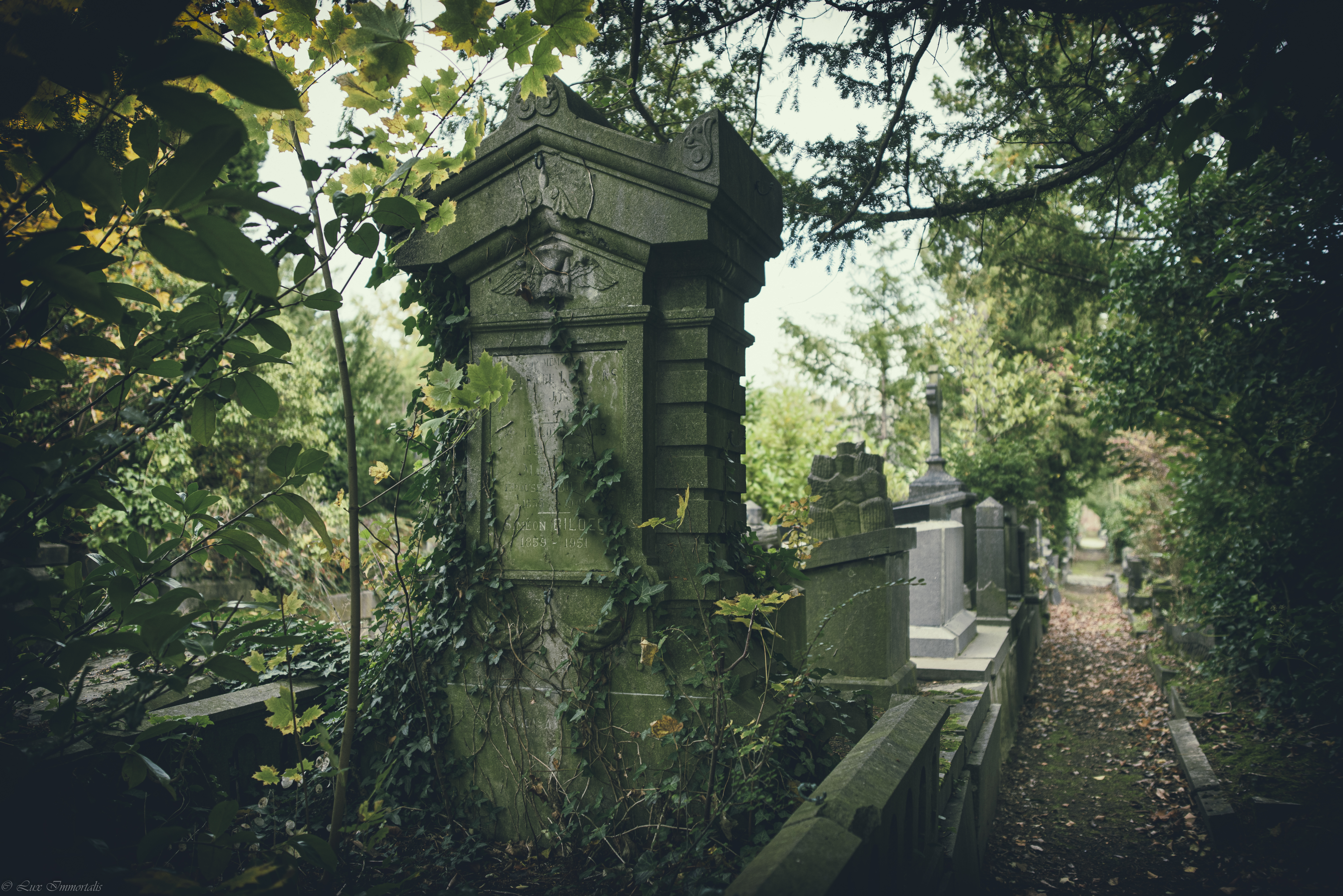 Tempus Fugit Cemetery Urban Decay Nature Plants Tombstones 6016x4016
