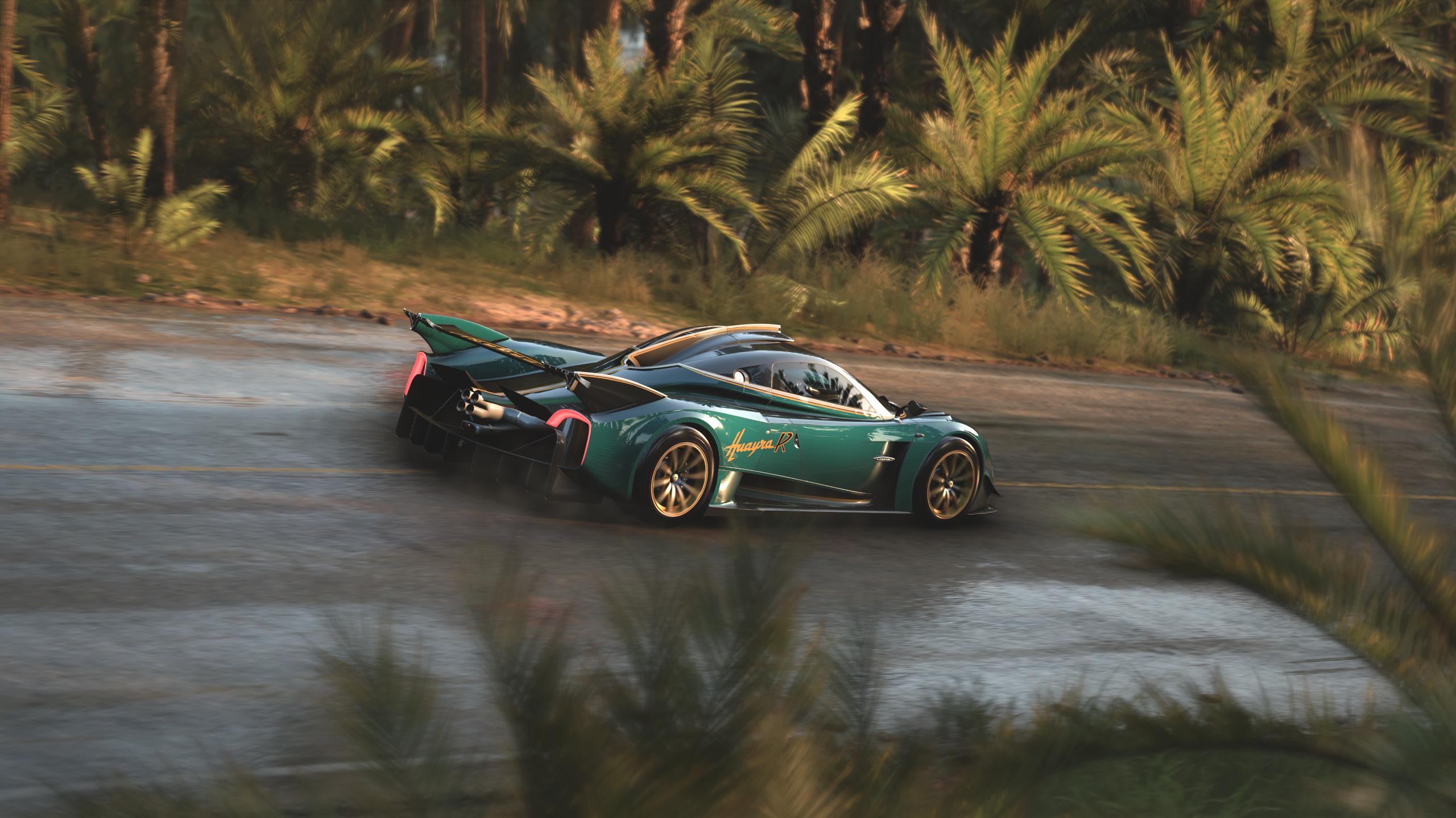 Forza Horizon 5 Video Games Pagani Huayra Car Rear View Taillights CGi Road Trees 2560x1440