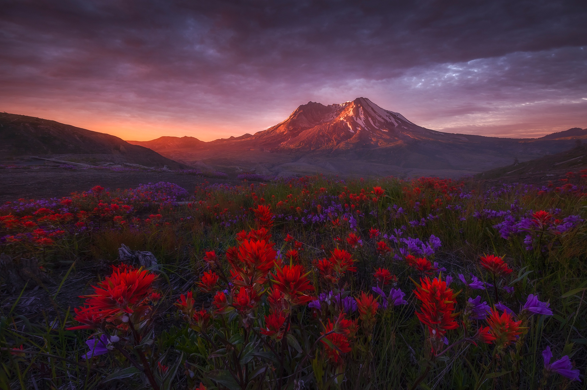 Earth Meadow 2048x1361