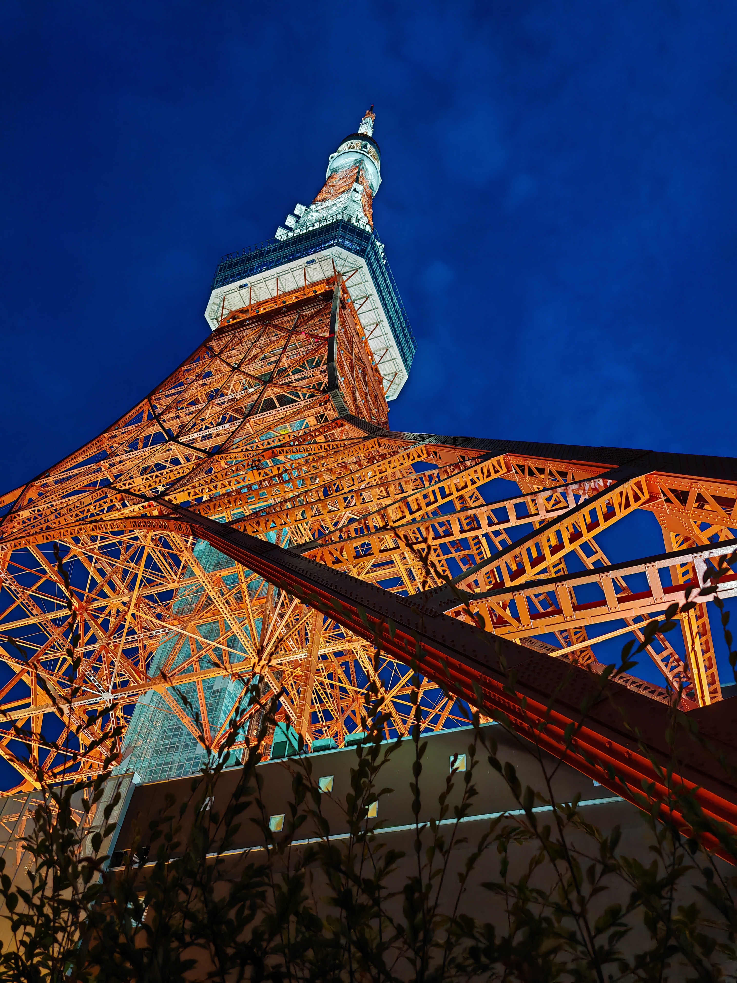 Tokyo Tower Japan Portrait Display Sky Leaves Clouds Lights Photography 3024x4032