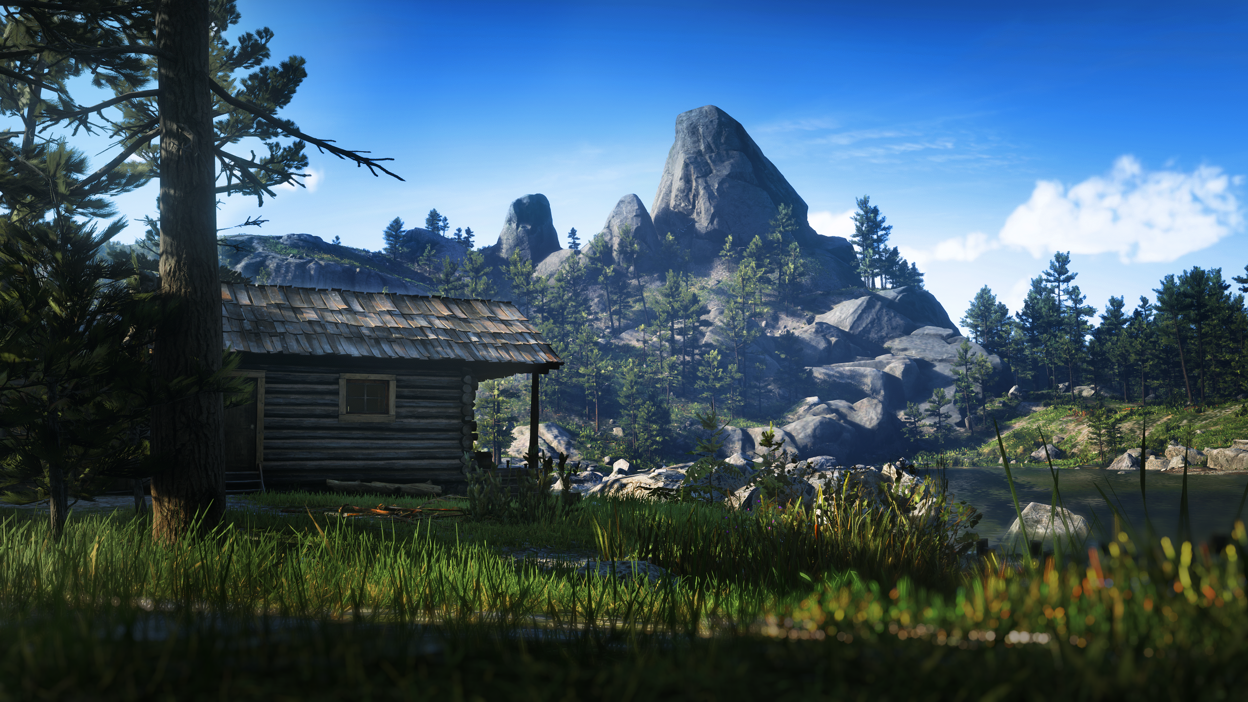 Red Dead Redemption 2 Cabin Forest Nature Daylight Video Games Video Game Art Sky Clouds Grass Trees 2560x1440