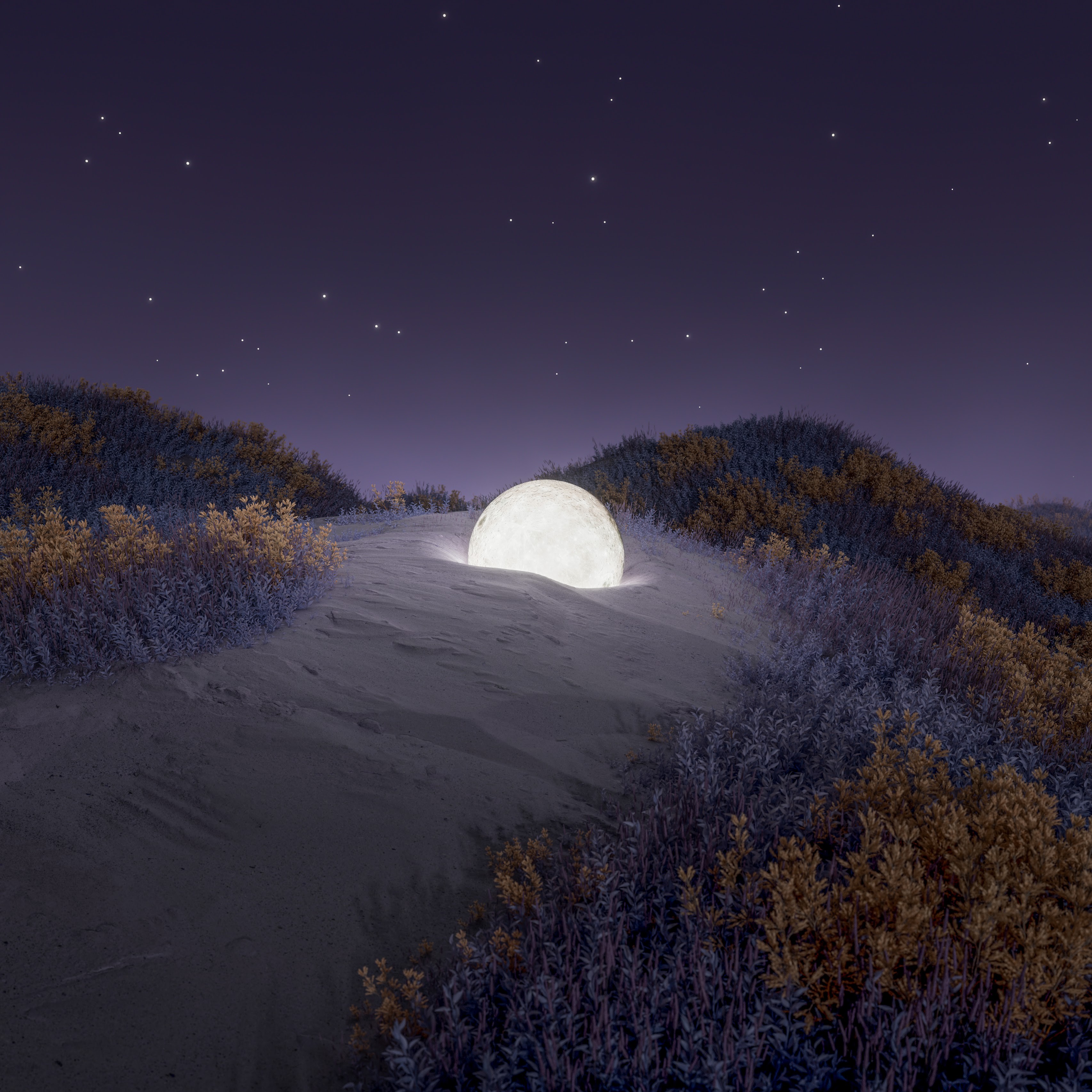 Landscape Nature Desert Digital Digital Art Render Nightscape Night Flowers Plants Stars Moon 3412x3412