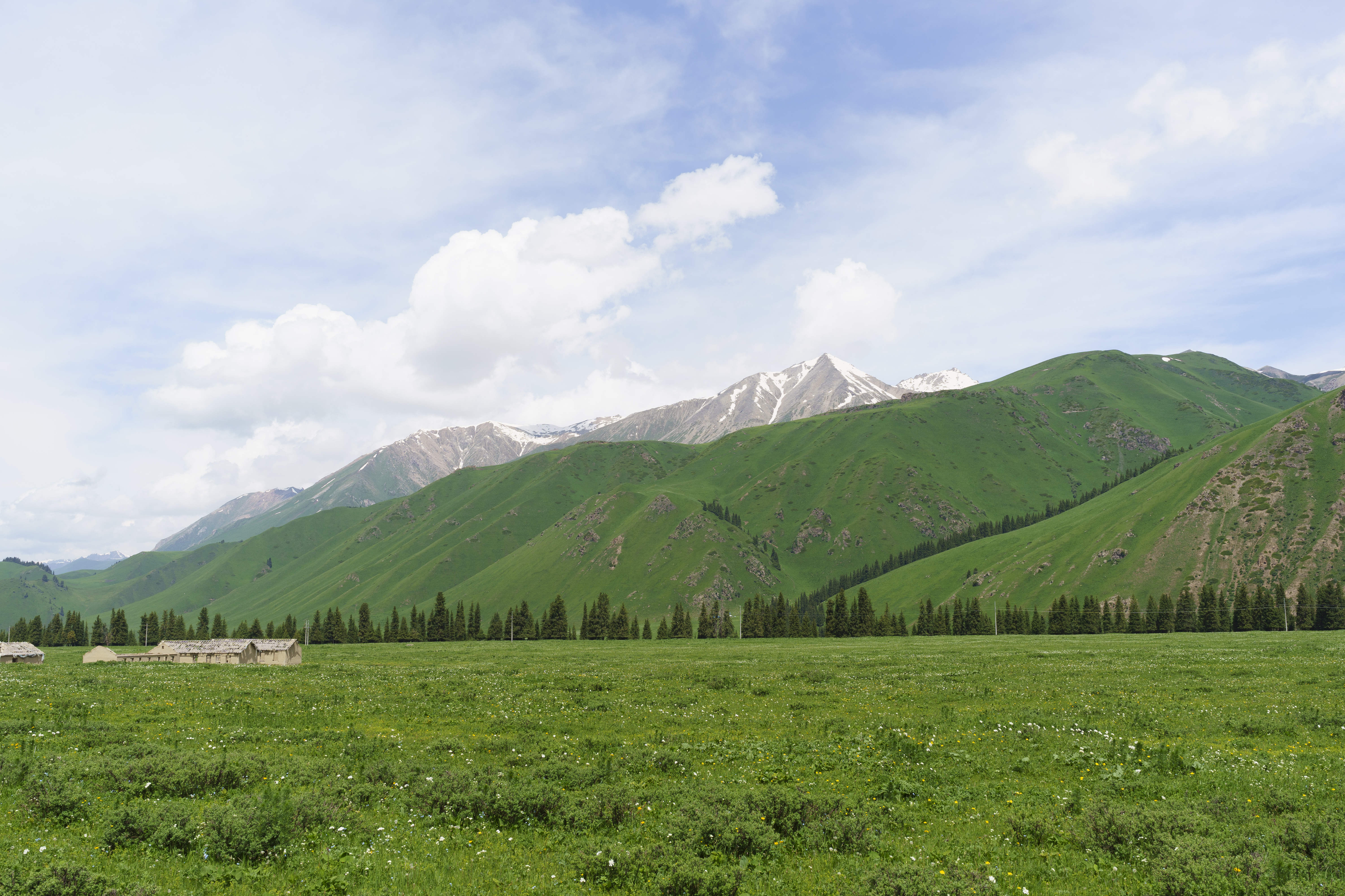 China Xinjiang Mountains Landscape Skyscape Clouds Grass Nature Sky Trees Snow 6000x4000