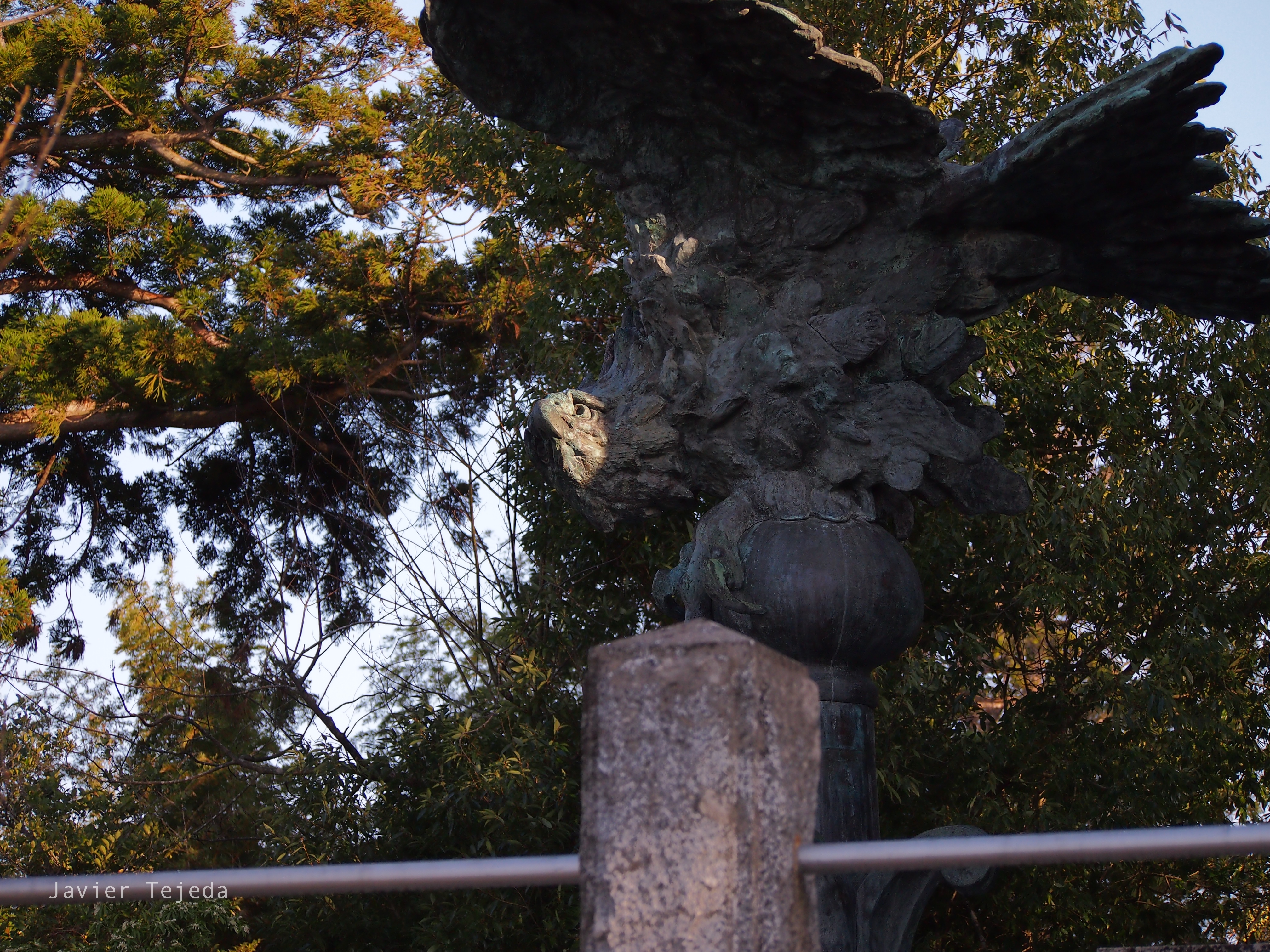 Japan Eagle Statue Animals 4032x3024