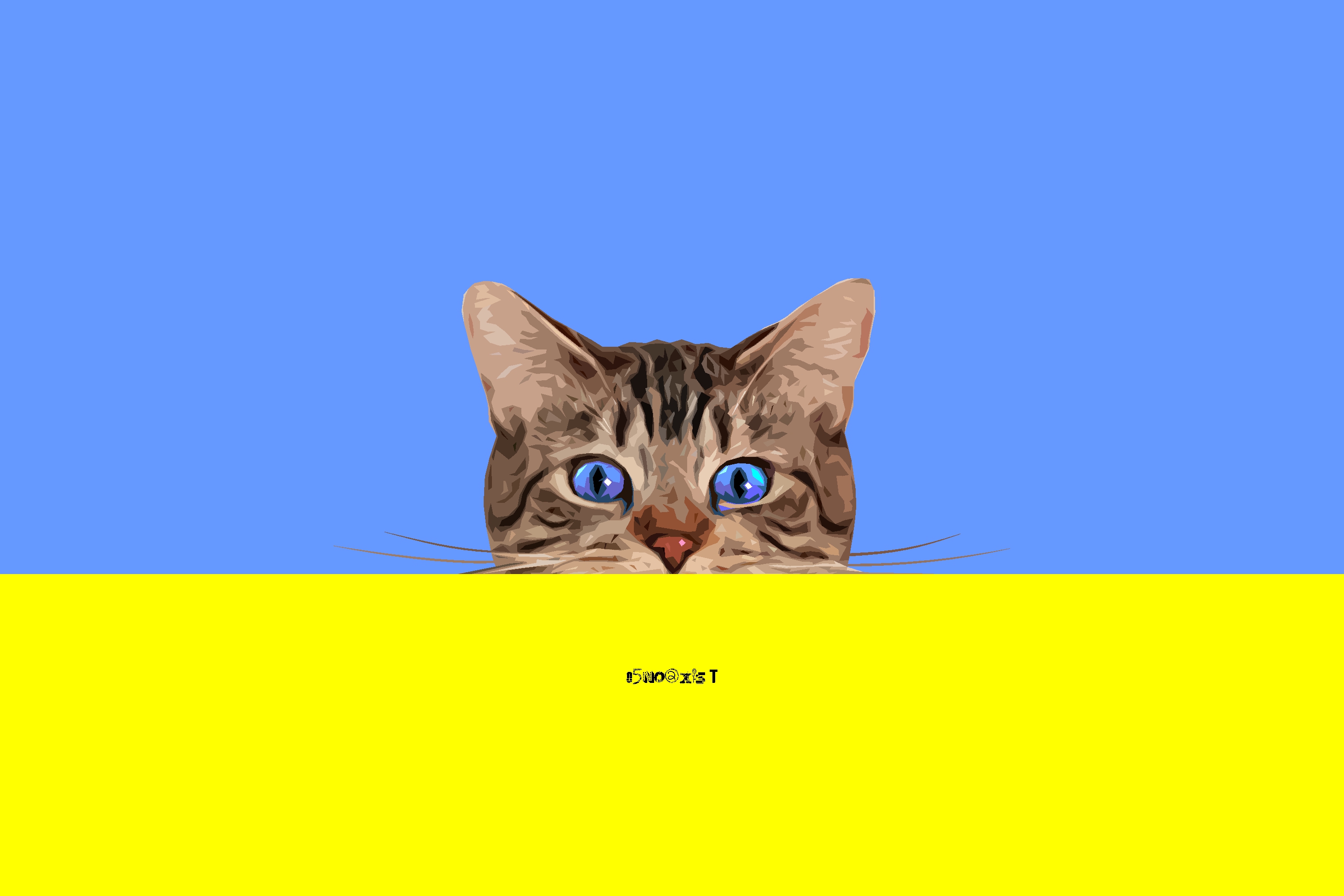 Kitten Simple Minimalist Blue Eyes 2926x1951
