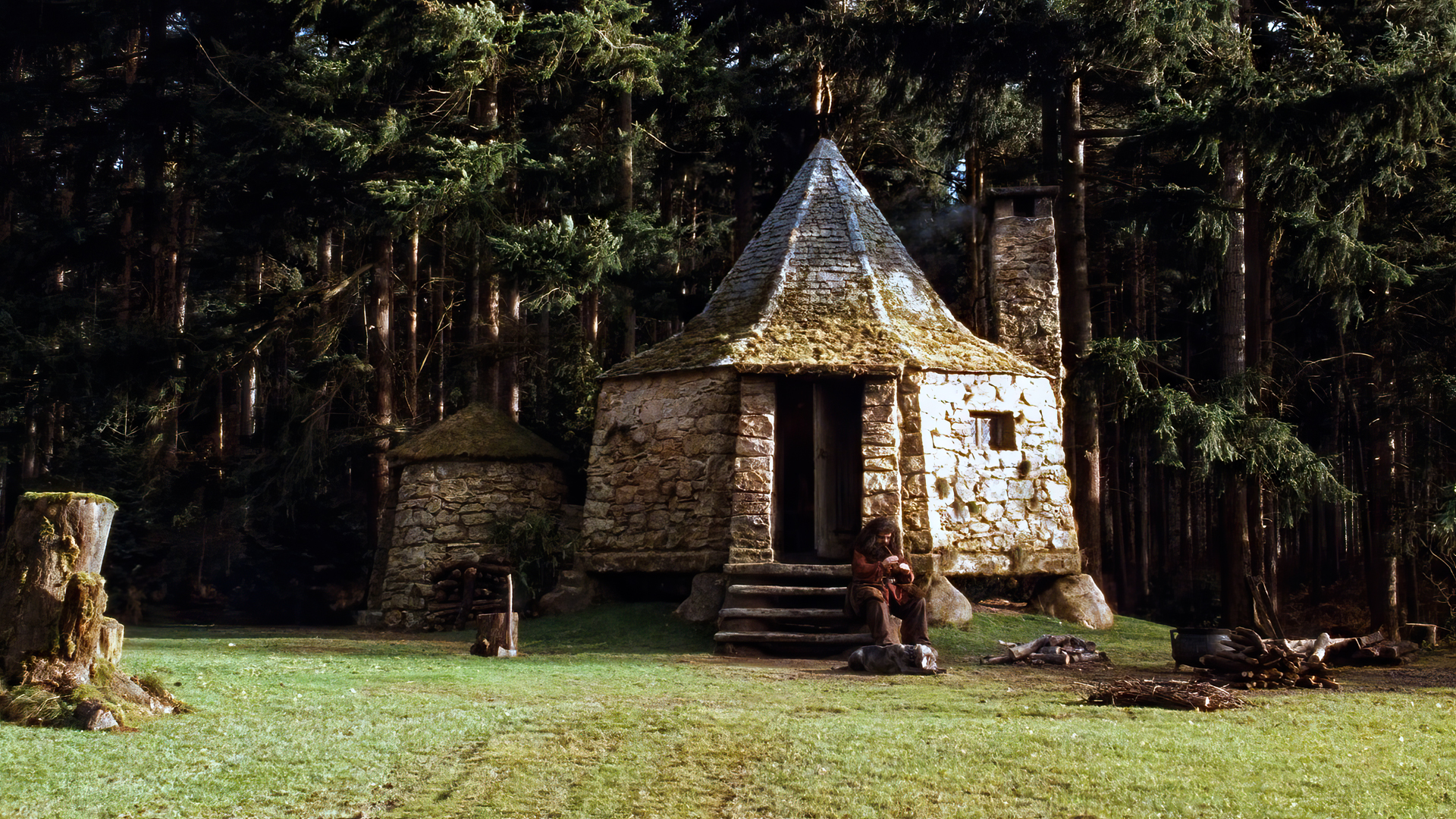 Harry Potter And The Sorcerers Stone Film Stills Movies Rubeus Hagrid Robbie Coltrane Hut Grass Tree 1920x1080