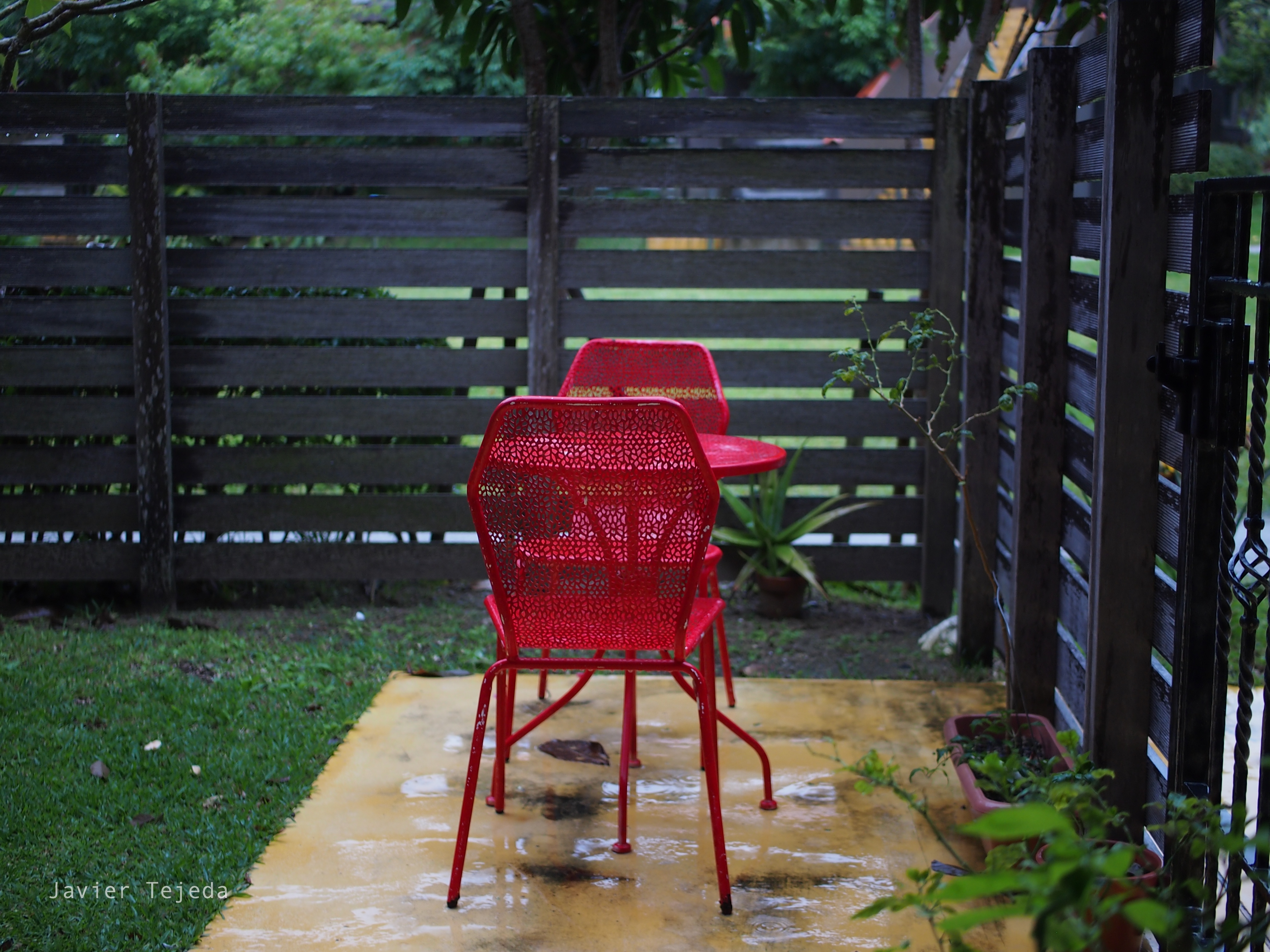 Okinawa Red Grass Chair Patios 4032x3024