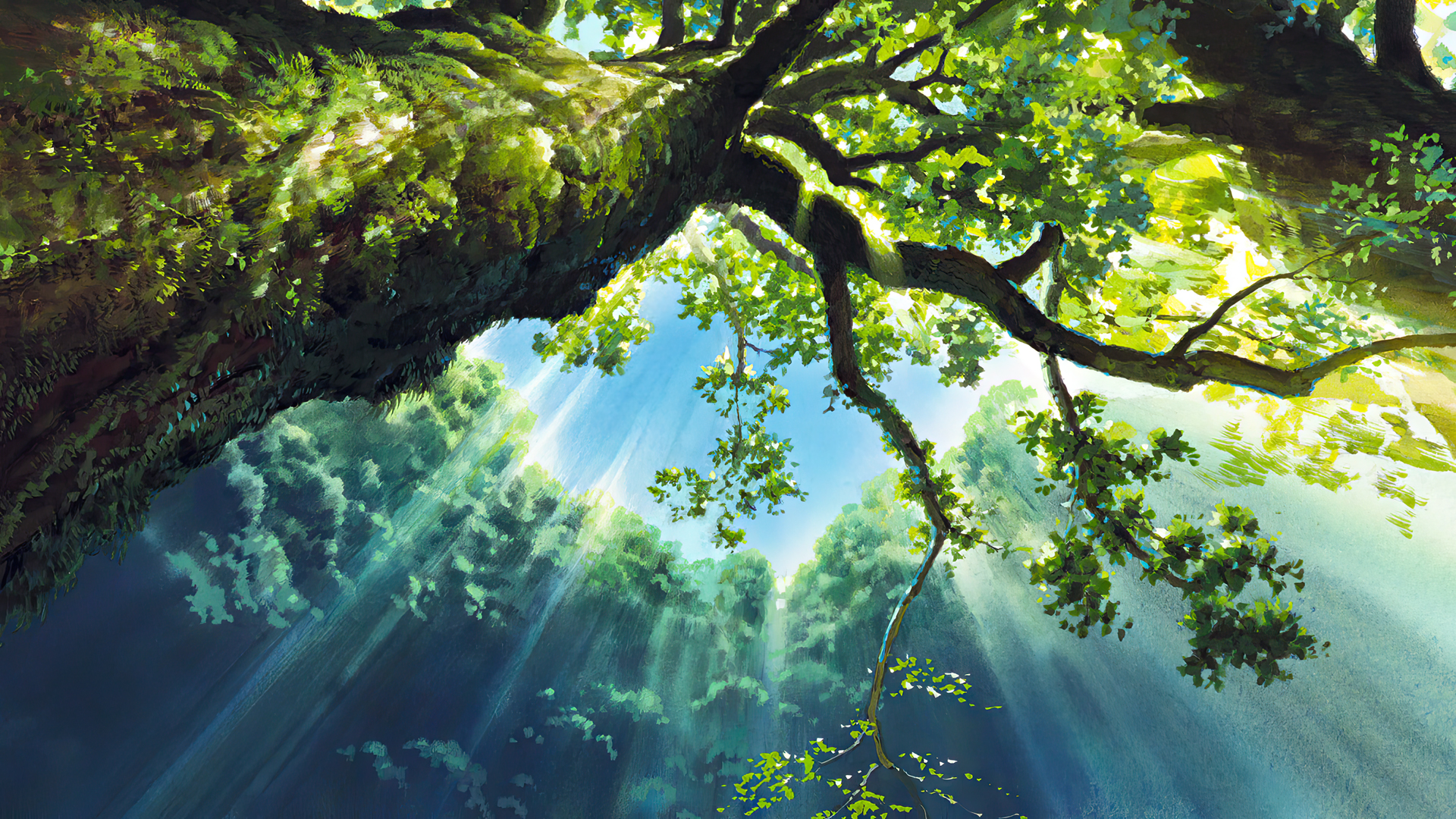 Princess Mononoke Animated Movies Anime Animation Film Stills Studio Ghibli Hayao Miyazaki Trees Sky 1920x1080