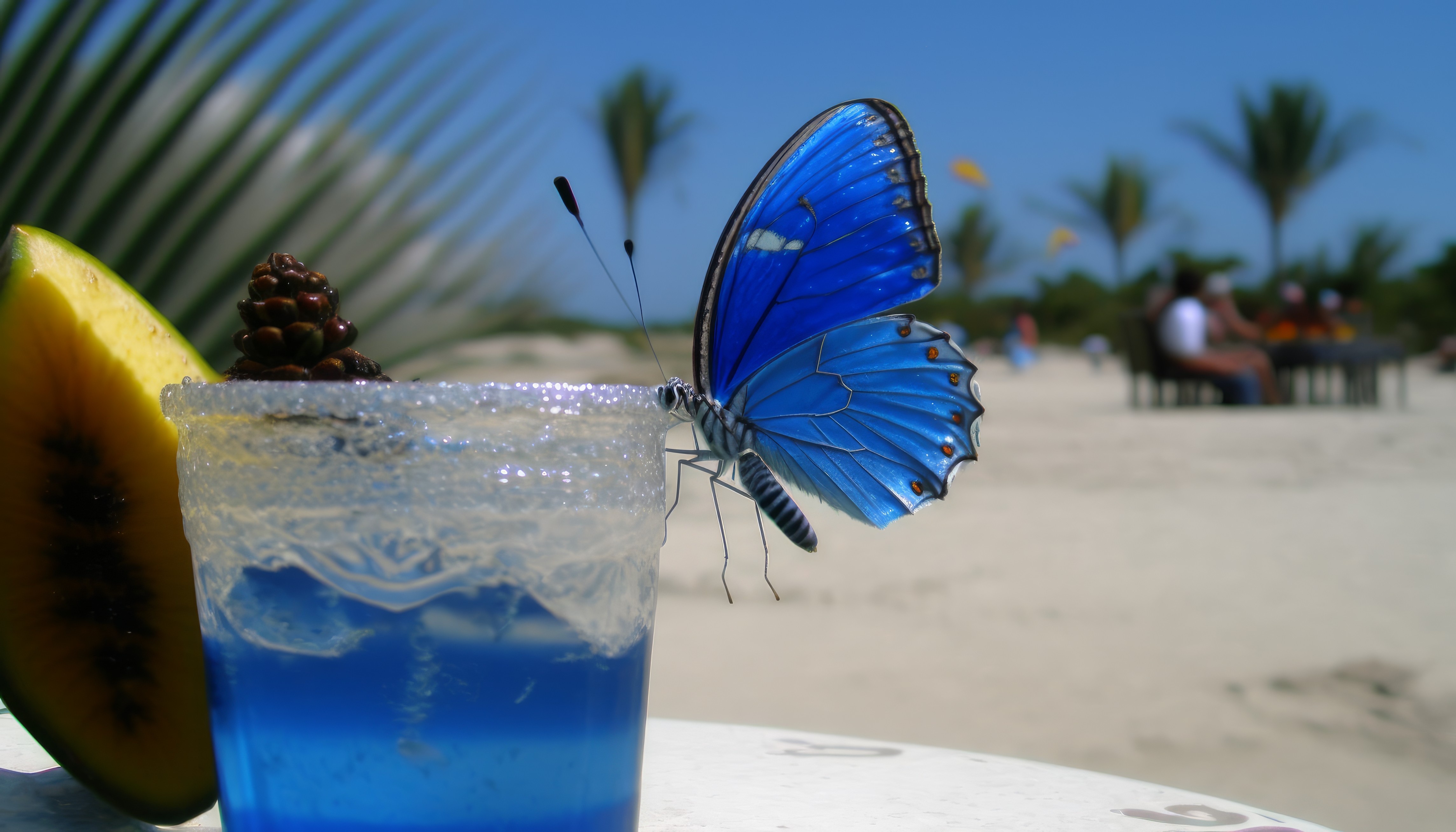 Ai Art Drink Beach Butterfly Blue Insect Butterfly Wings Leaves Palm Trees Fruit Blurred 4579x2616