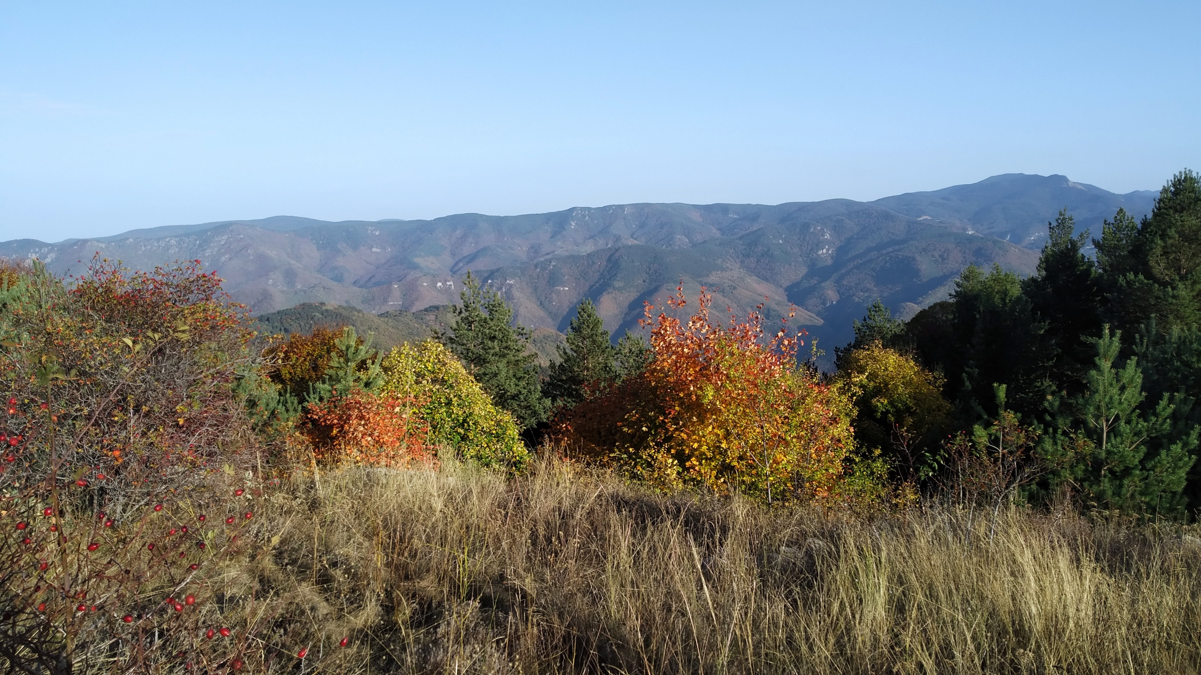 Forest Mountain Chain Landscape Nature Mountains Trees Sky Outdoors 4000x2250