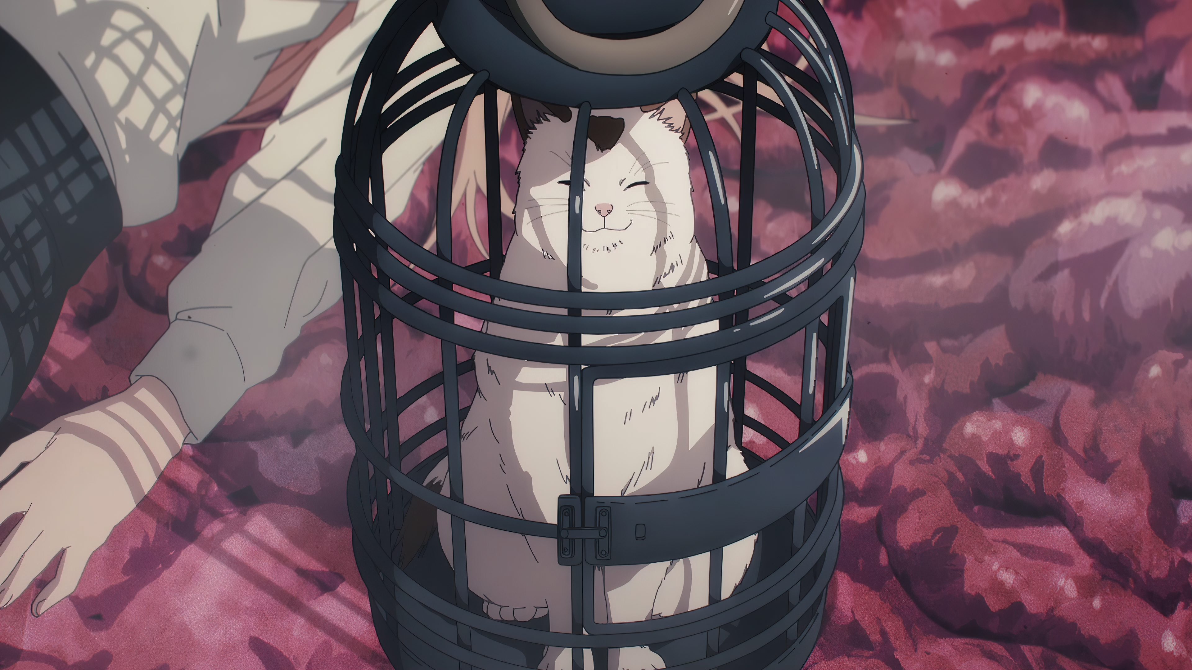 Chainsaw Man Anime 4K Anime Screenshot Power Chainsaw Man Anime Girls Cats Cages 3840x2160