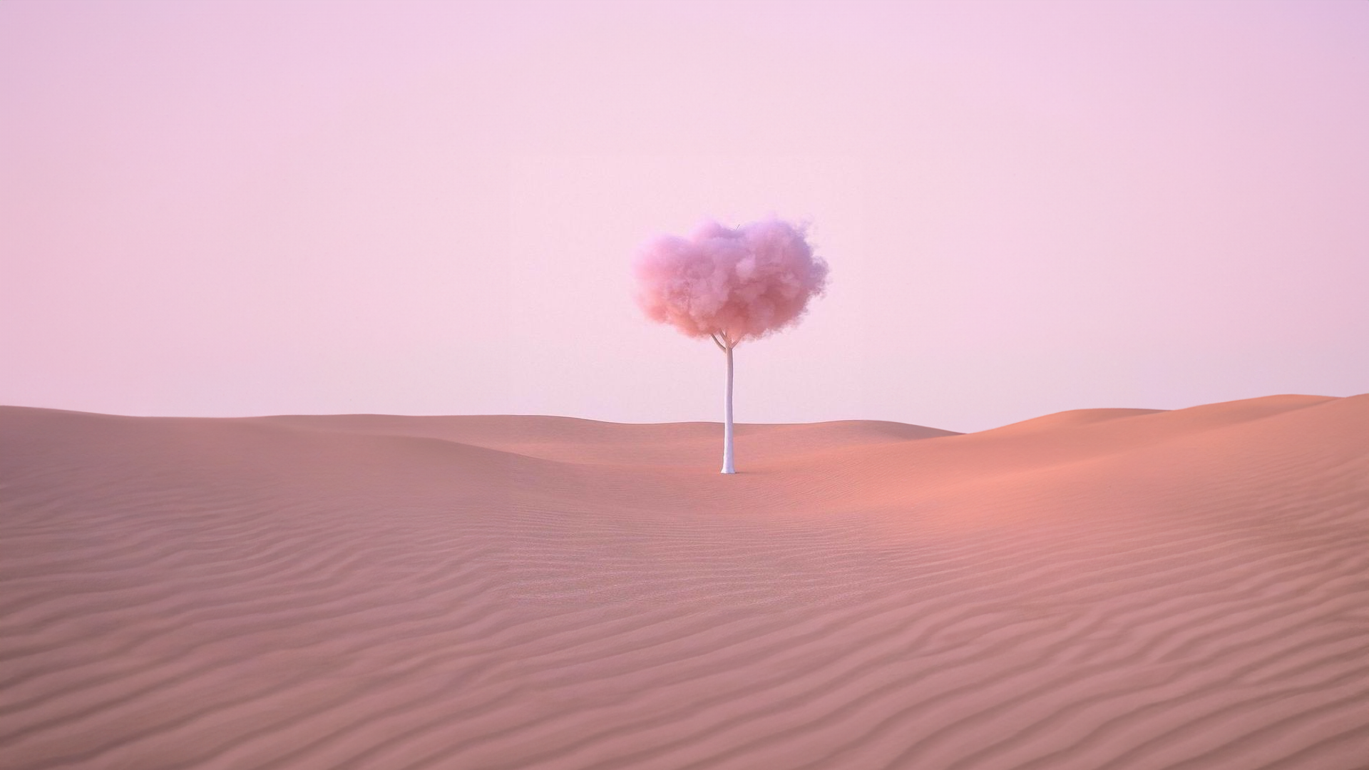 Ground Trees Pink Color Minimalism Desert Simple Background Sand 1920x1080