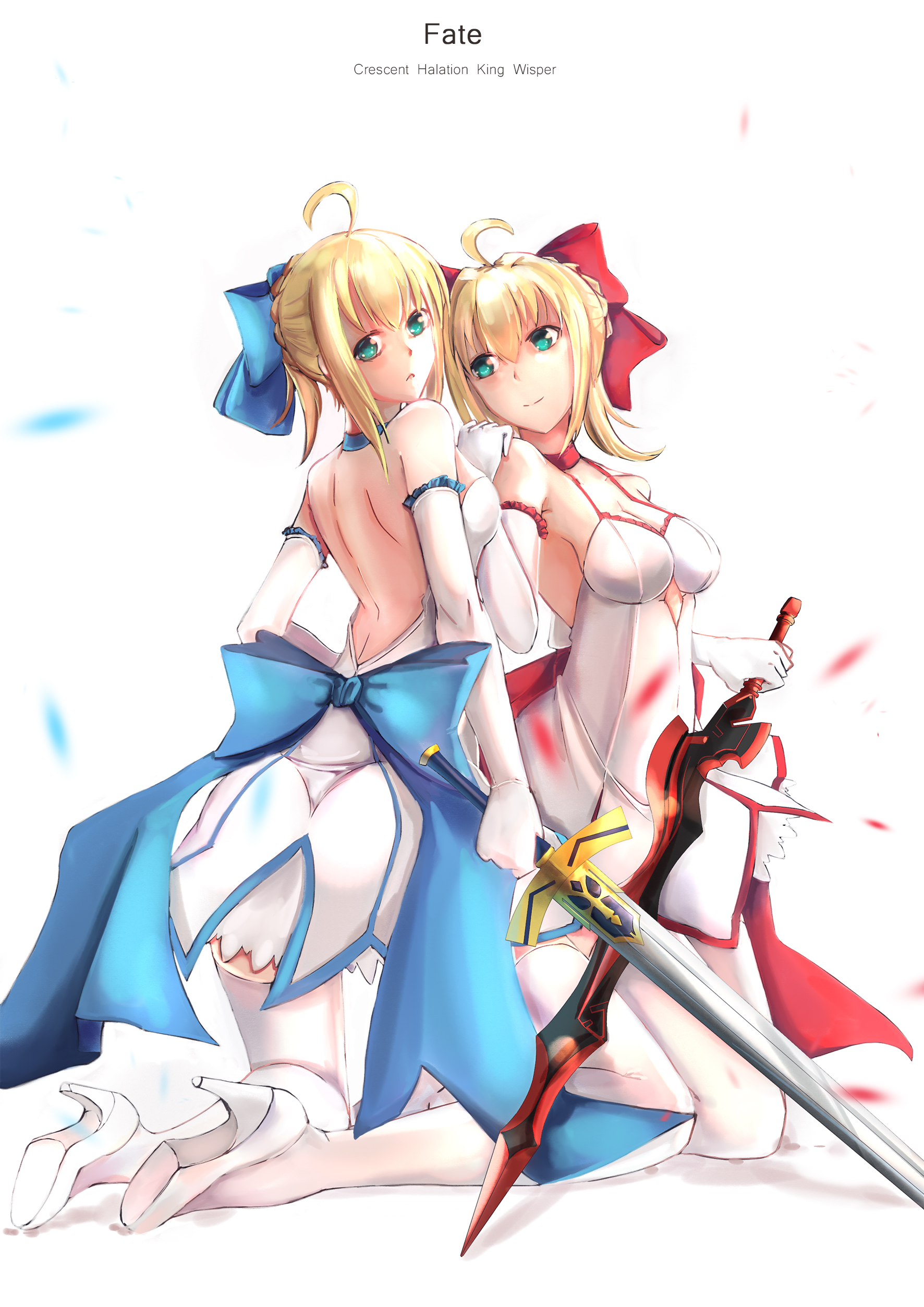 Anime Anime Girls Fate Series Fate Extra Fate Extra CCC Fate Grand Order Nero Claudius Long Hair Blo 1772x2505