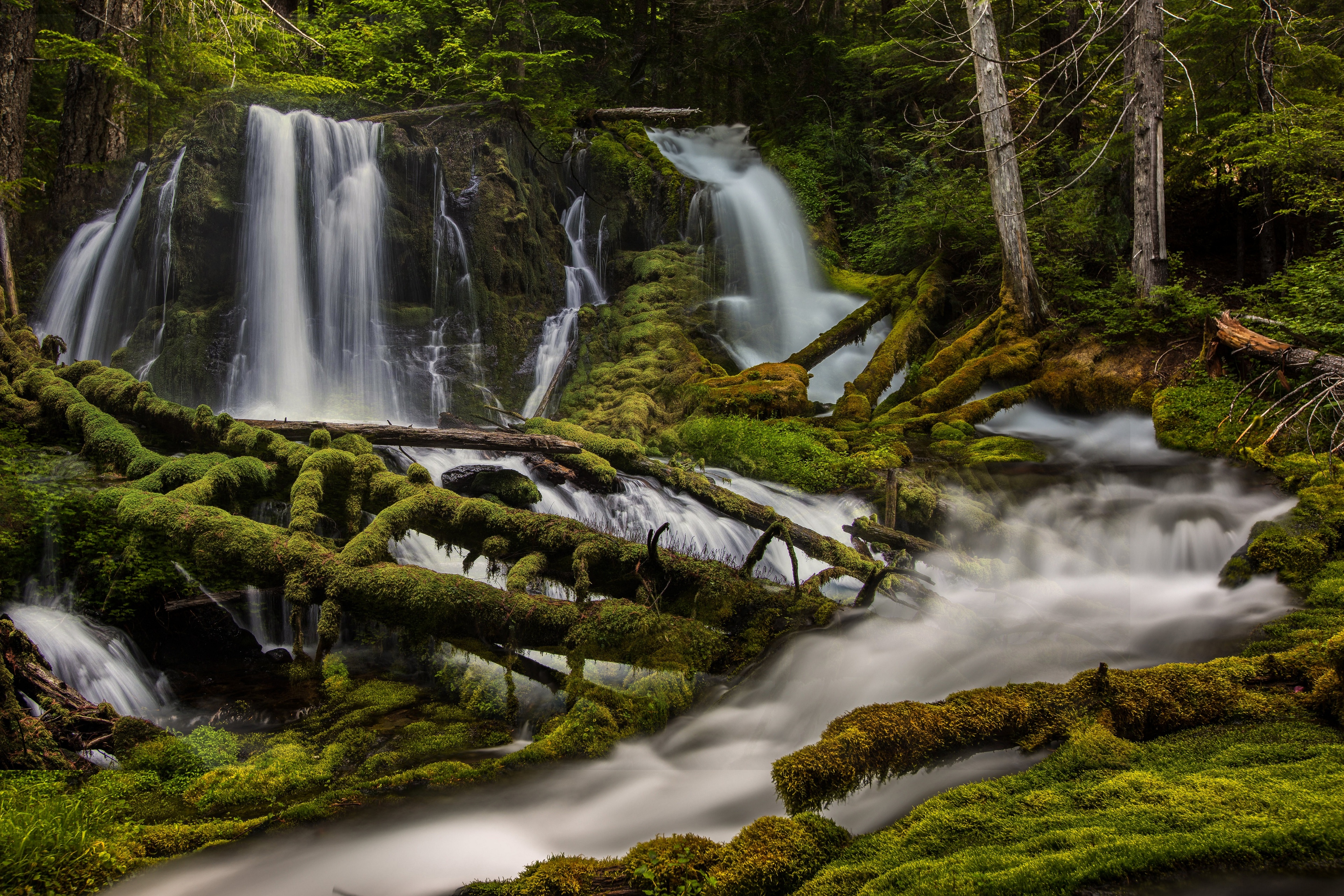 Nature Waterfall USA Forest Trees Moss Stream Water 3840x2560