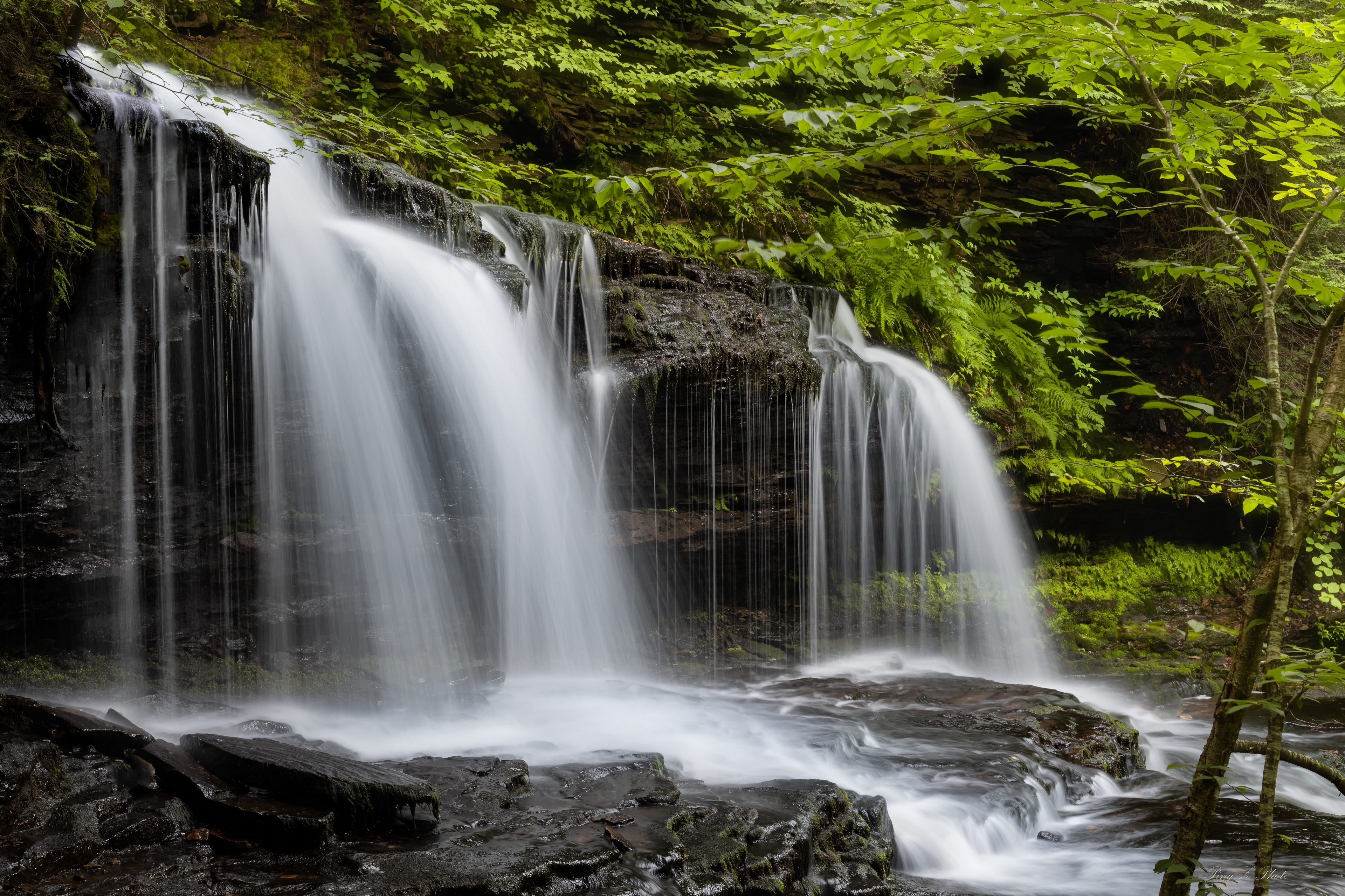 Ricketts Glen State Park USA Pennsylvania Nature Waterfall Forest Rock Water 3840x2560