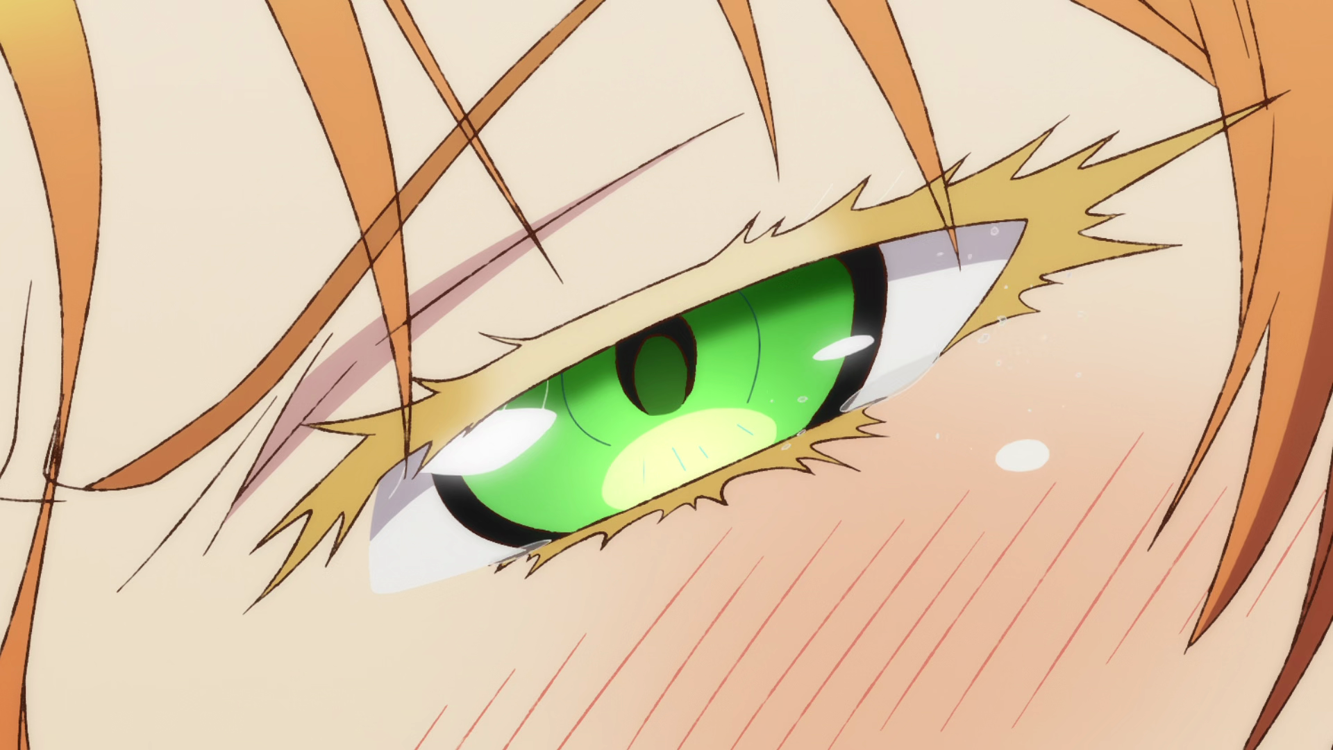 Isekai Ojisan Elf Isekai Ojisan Green Eyes Anime Girls Anime Anime Screenshot Eyes Closeup Blushing 1920x1080
