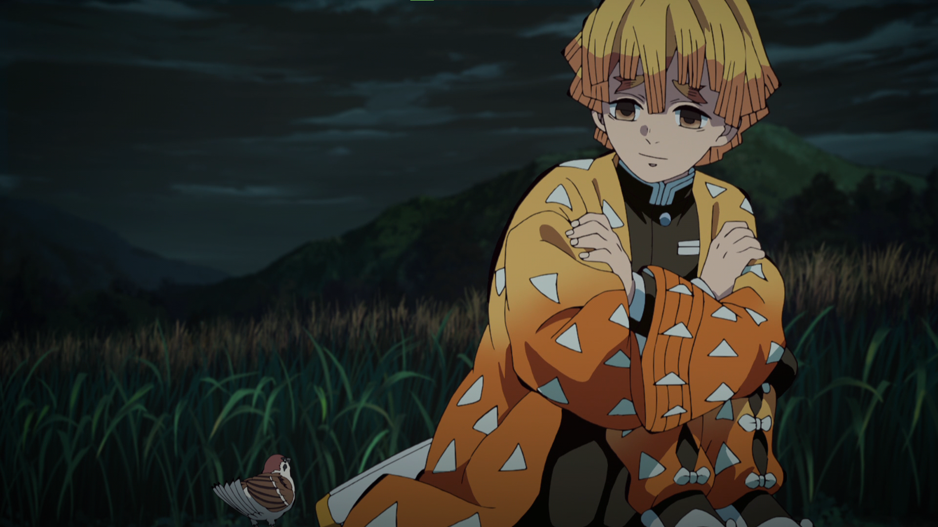 Kimetsu No Yaiba Zenitsu Agatsuma Sparrow Anime Anime Screenshot Anime Boys Kimono Uniform Night Sky 1920x1078