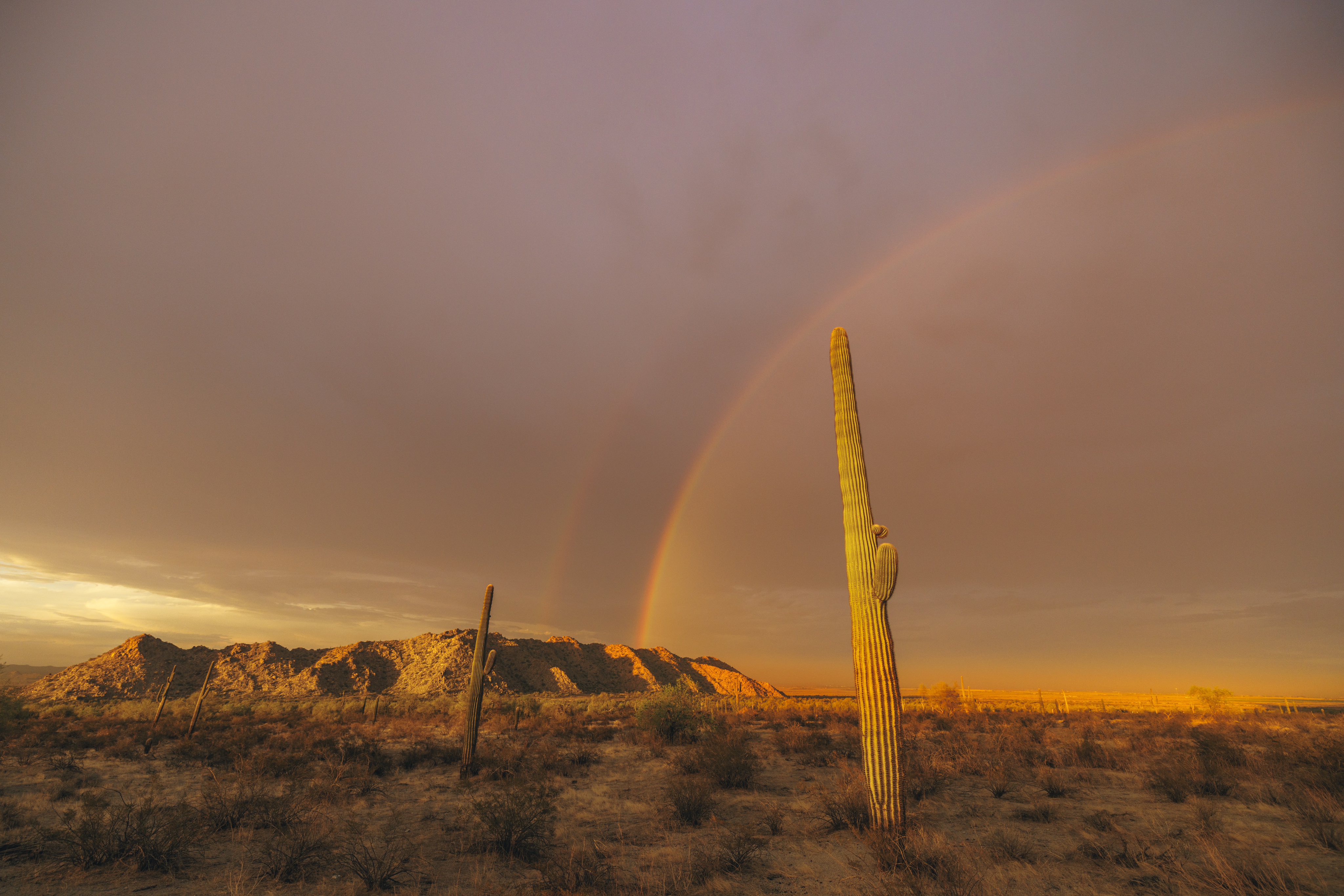 Nature Landscape Sky Mountains Desert Cactus Rainbows 4096x2732