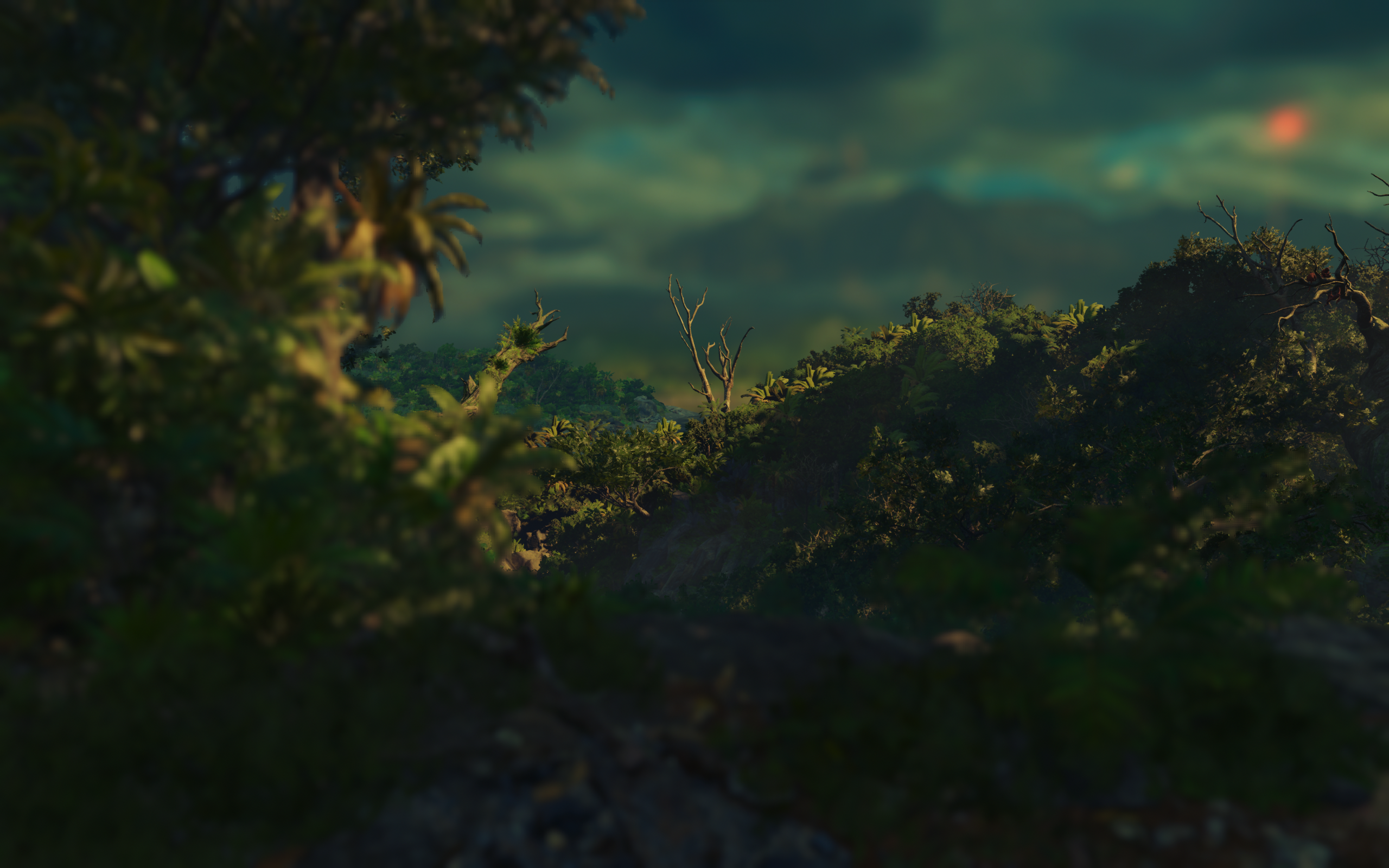Tomb Raider 505 Games Video Games Digital Art Forest Nature 2560x1600