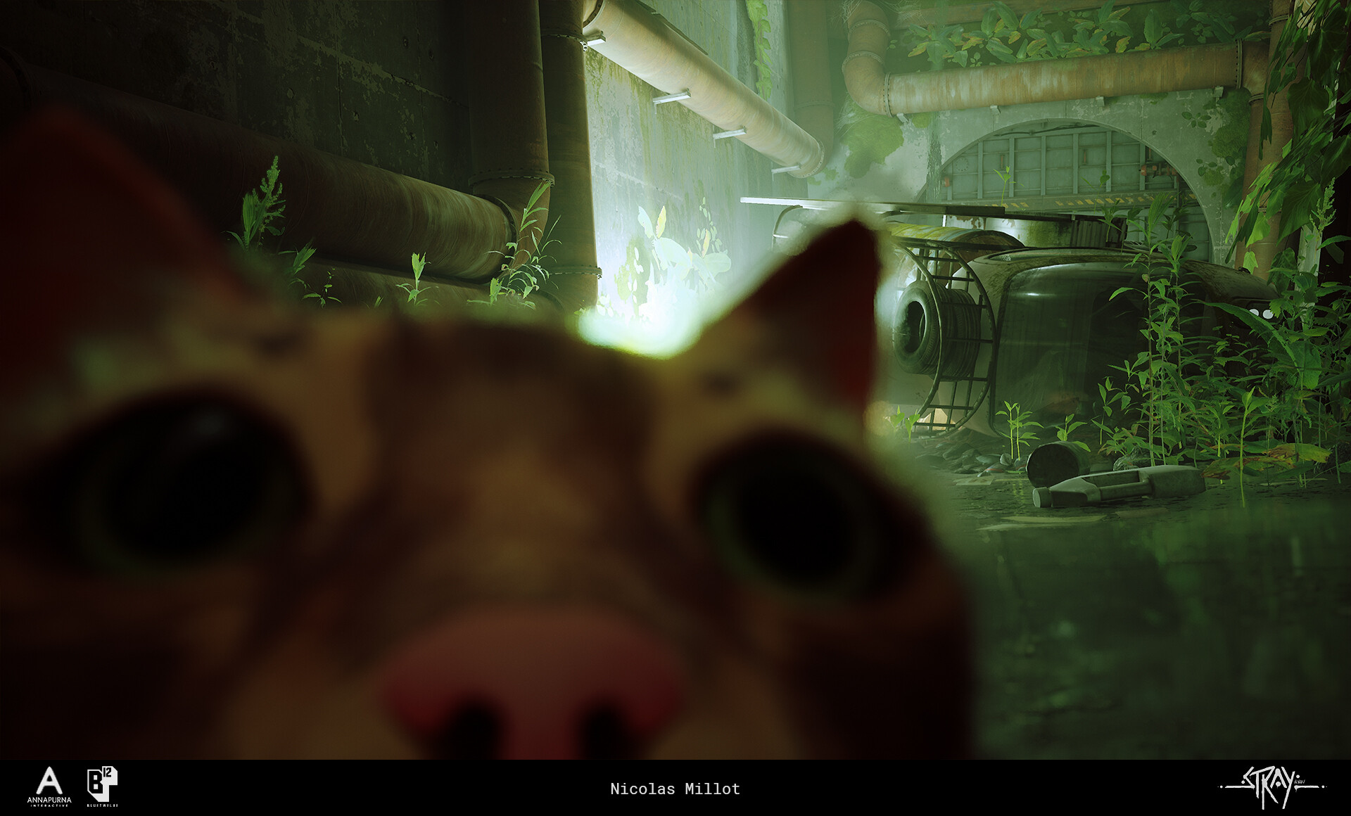 Stray Cats Cat Eyes ArtStation Nicolas Millot Video Games 1920x1160