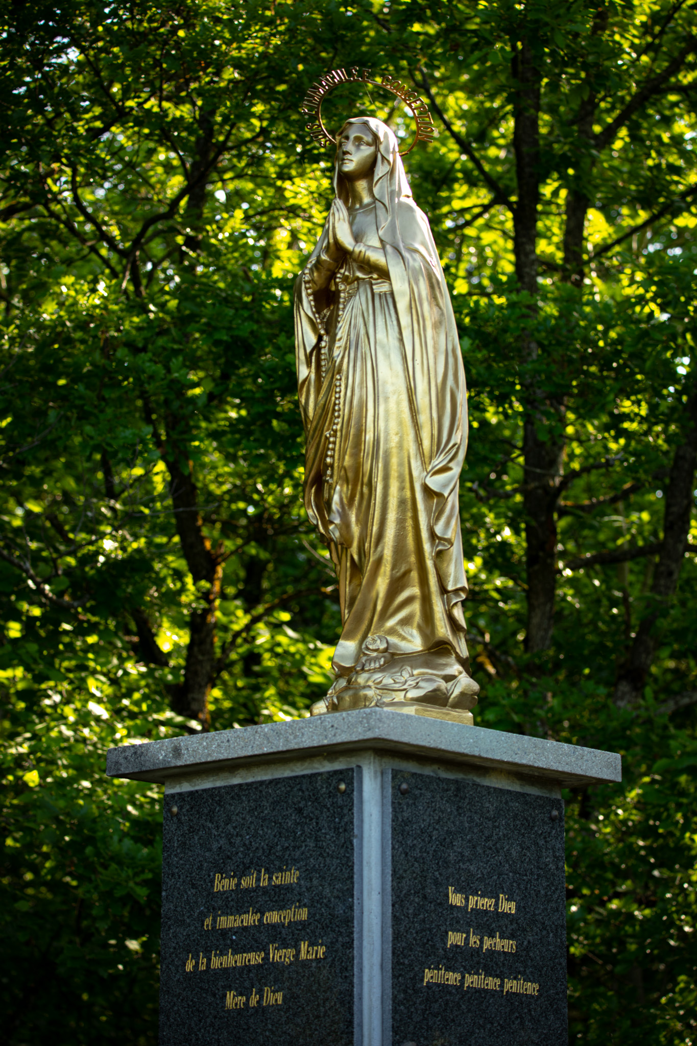 Trees Leaves Greenery Photography Statue Christianity Virgin Mary Vertical 1365x2048