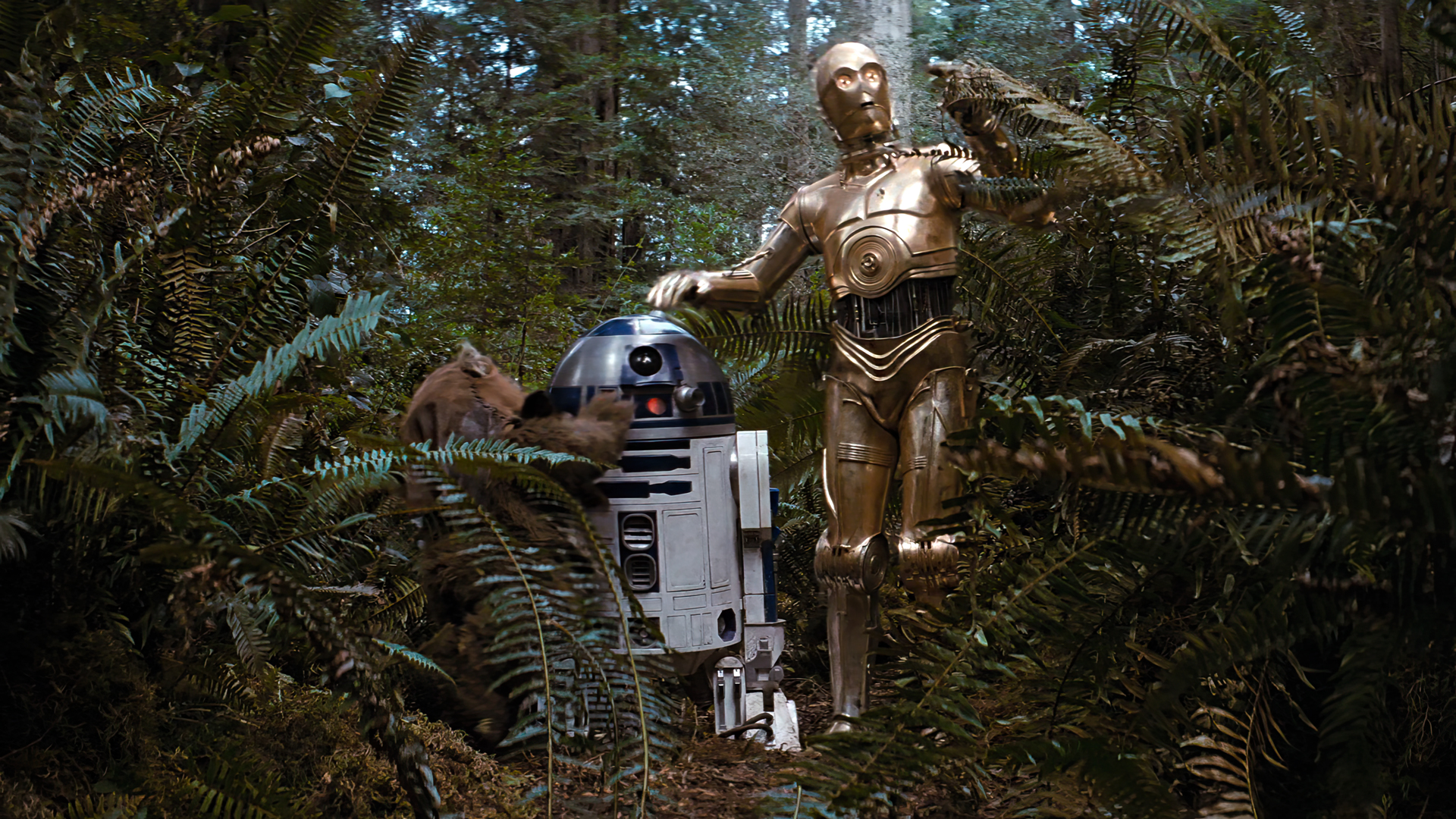 Star Wars Episode Vi The Return Of The Jedi Movies Film Stills Star Wars C 3PO R2 D2 Robot Ewok Plan 1920x1080