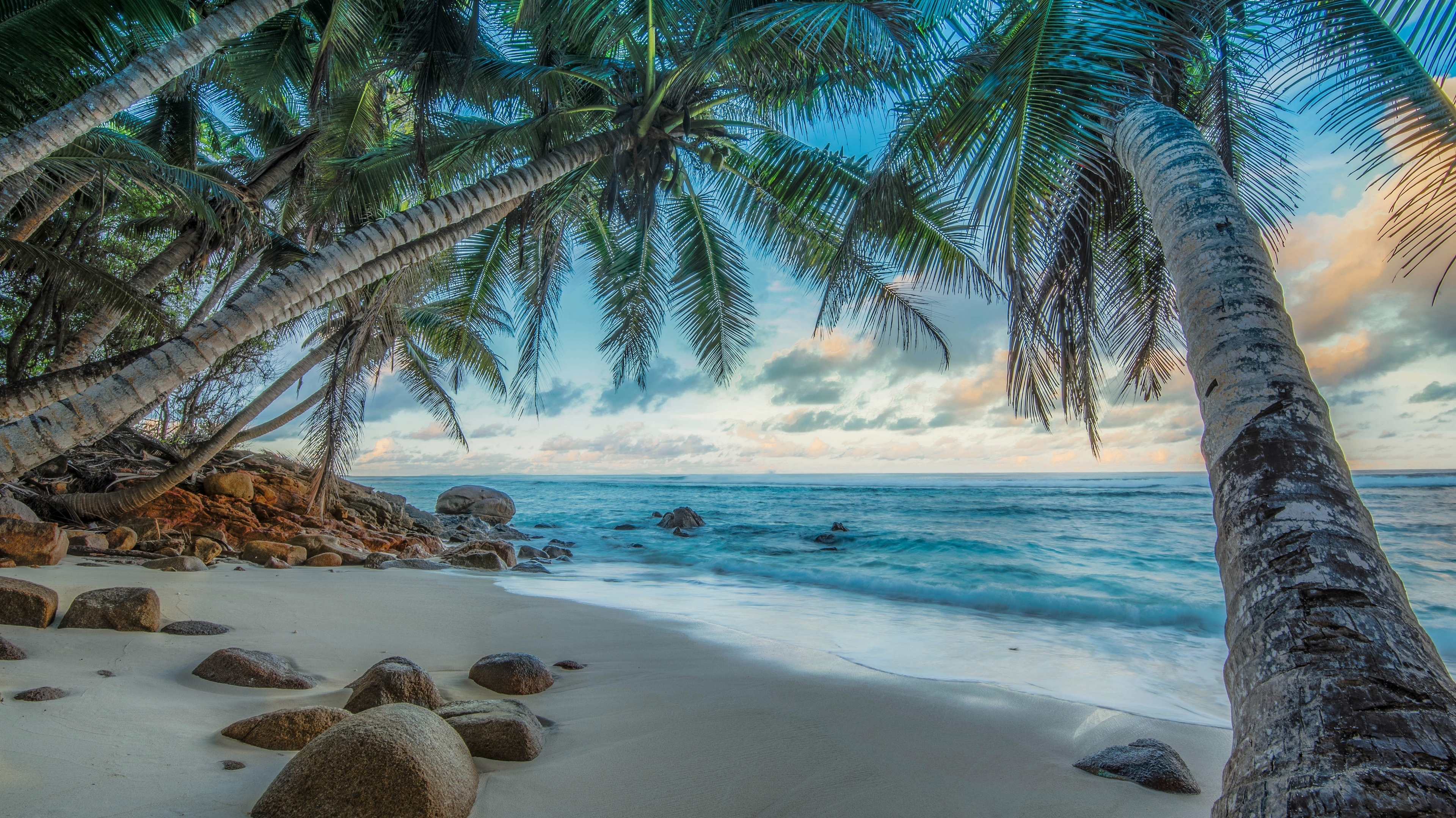 Nature Beach Sea Palm Trees Tropics Island Stones Sky Waves Clouds Water 3840x2160