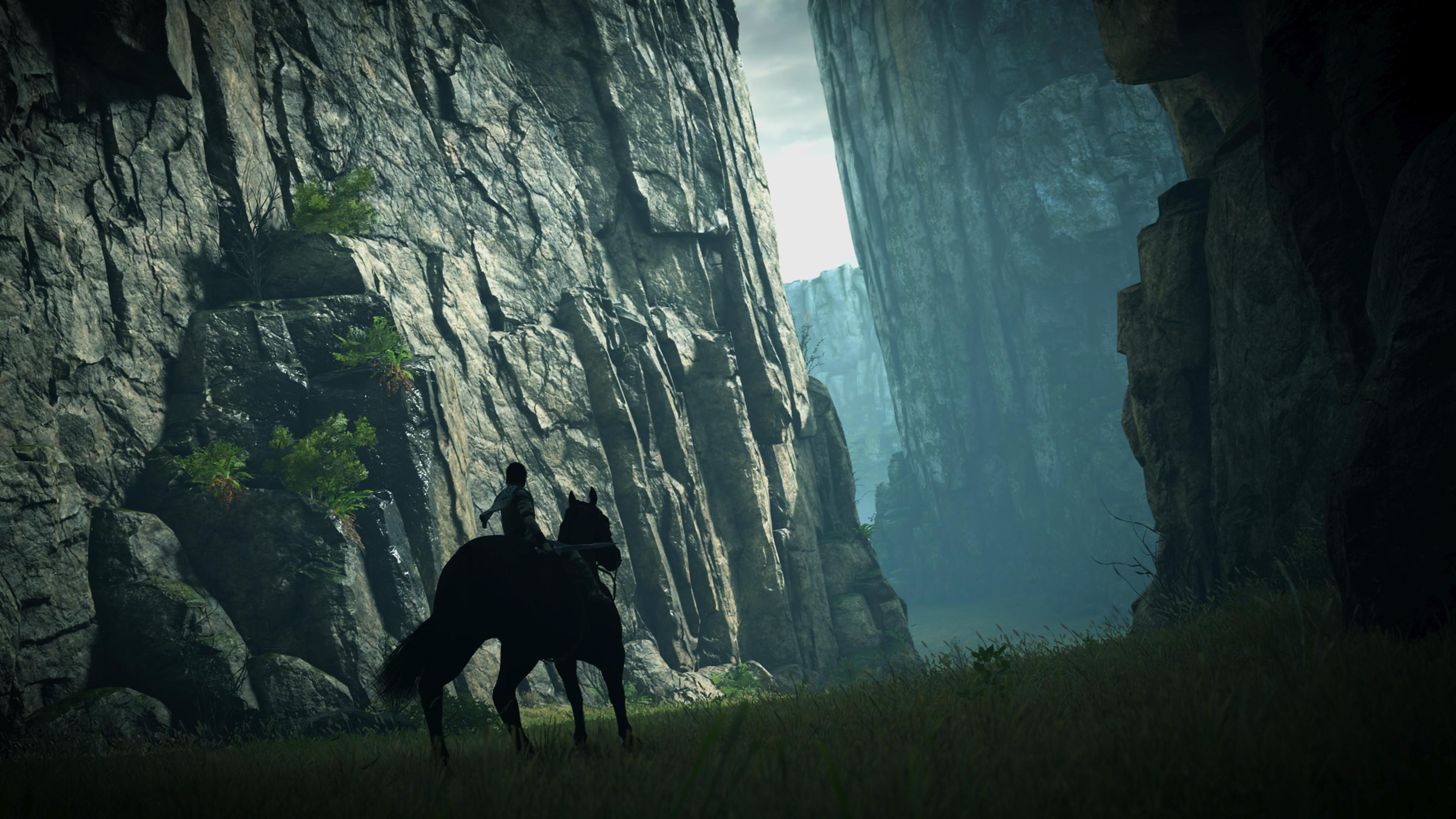 Shadow Of The Colossus Wander PlayStation PlayStation 4 Playstation 4 Pro Playstation 5 Video Games  3840x2160
