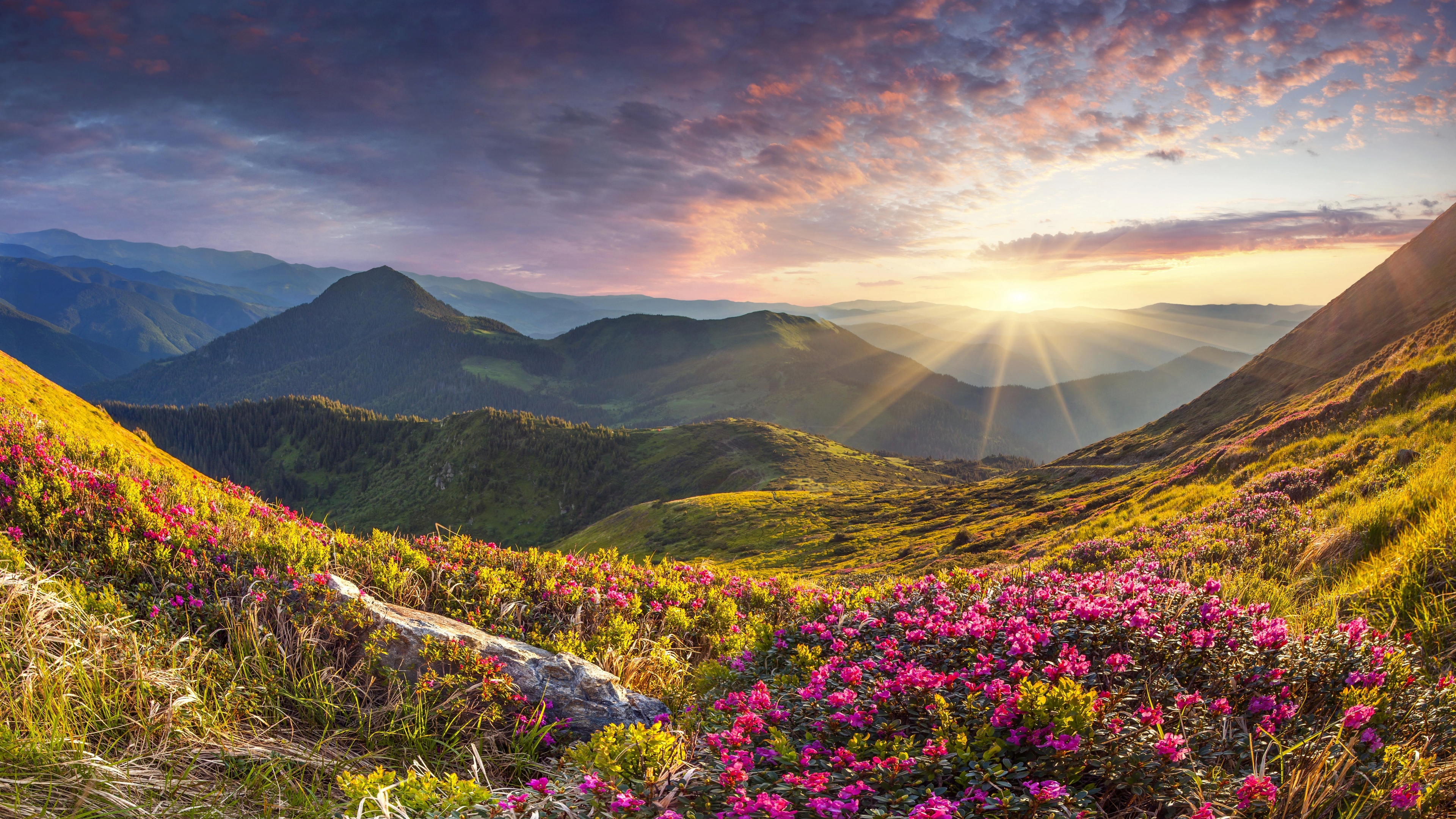 Nature Landscape Mountains Flowers Rhododendron Stones Sunrise Sky Clouds 3840x2160