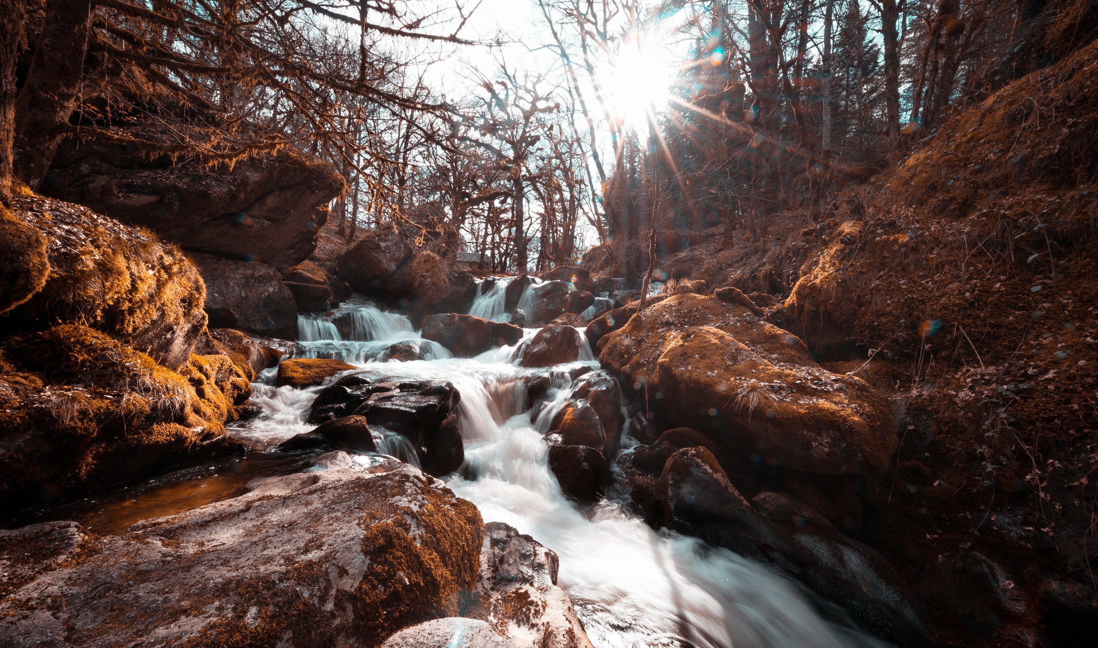 Stream Nature Sunlight Water Branch Rocks 3497x2065