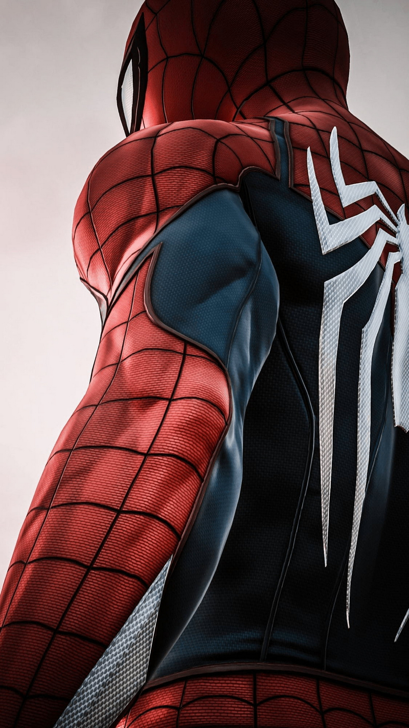 Spider Man Portrait Display Simple Background Low Angle Rear View Superhero Bodysuit 800x1423
