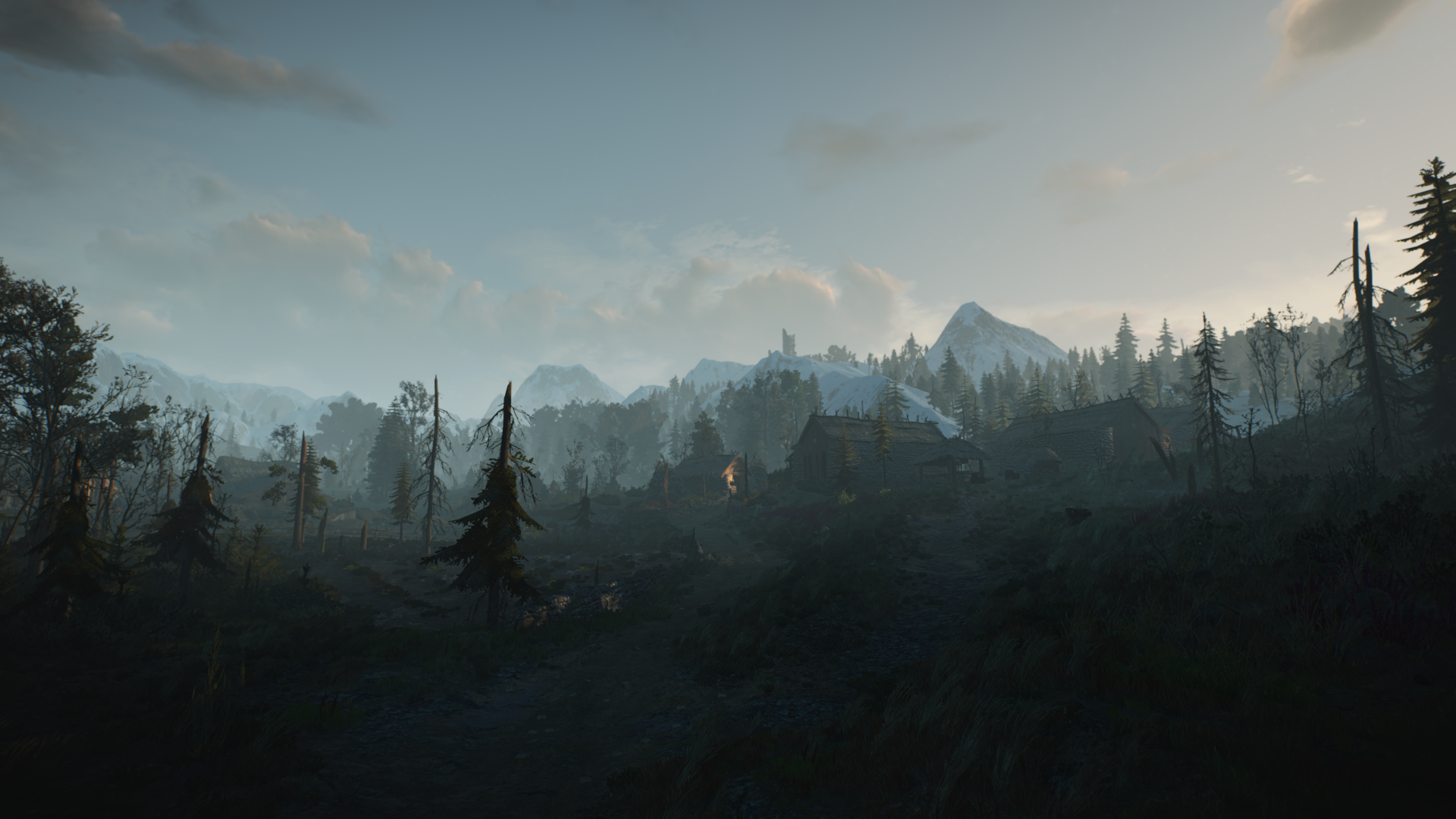 The Witcher 3 Wild Hunt Video Game Landscape CD Projekt RED CGi Video Games Trees Sky Clouds Nature  1920x1080