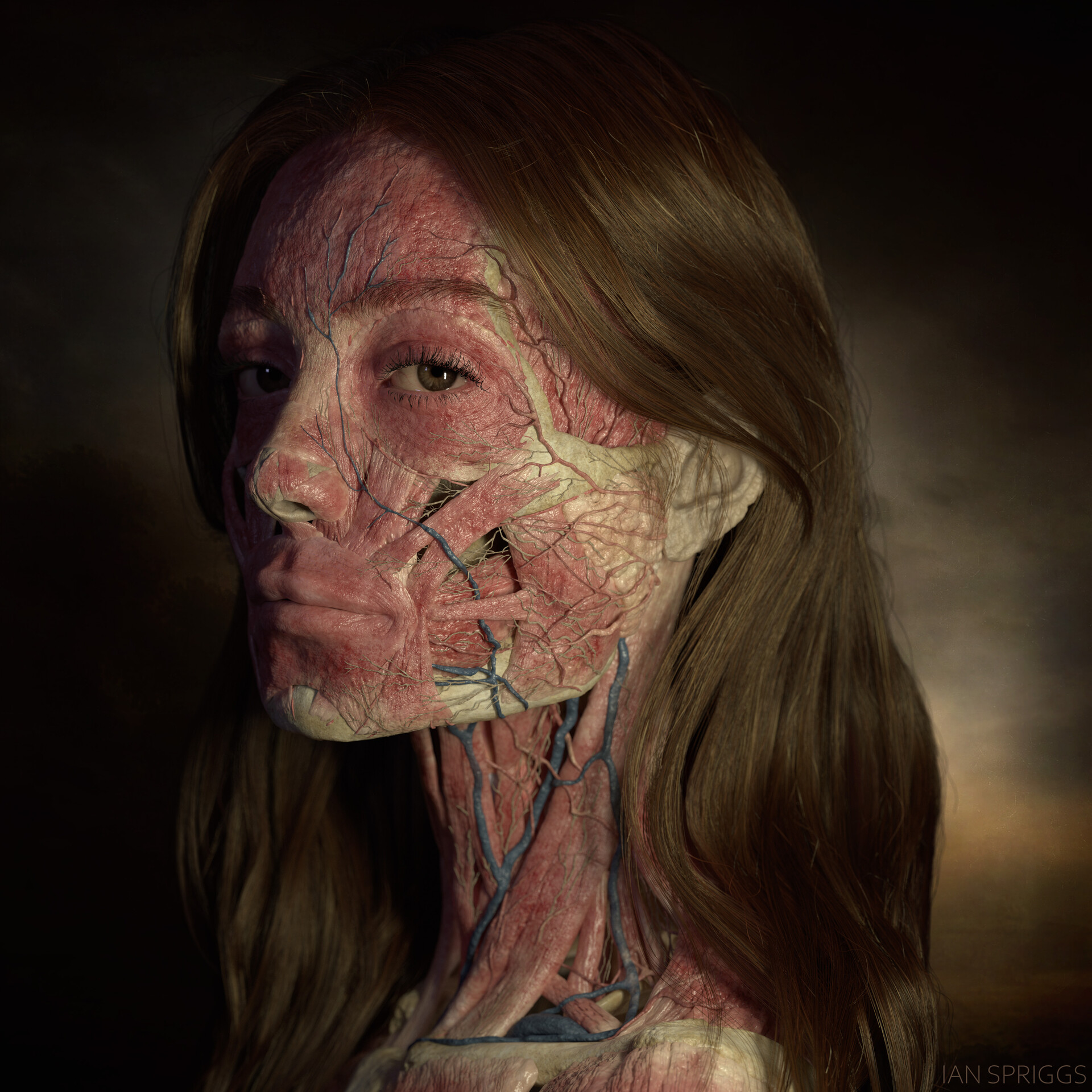 Ian Spriggs Women Face Portrait Digital Art Brunette Long Hair Looking At Viewer Veins Muscles Scien 1920x1920