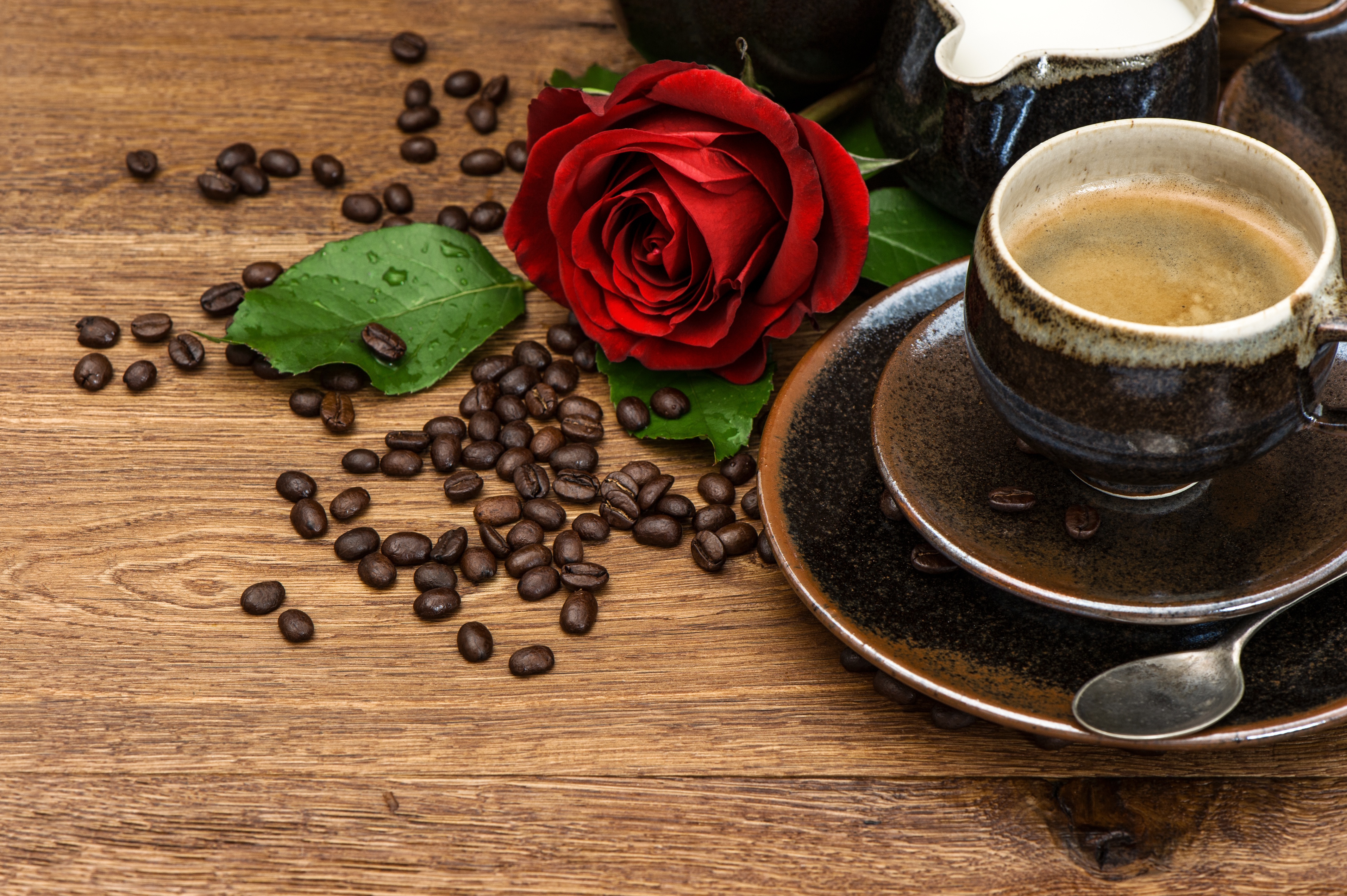 Rose Cup Coffee Beans Drink Still Life 4256x2832