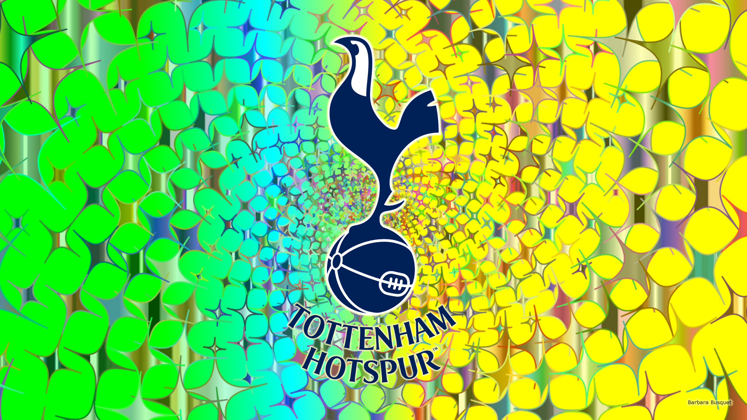 Sports Tottenham Hotspur F C 2560x1440