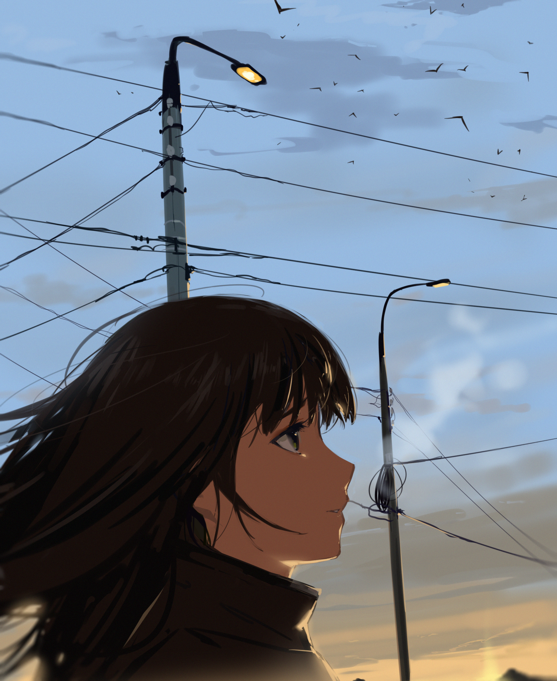 Pixiv Artwork Portrait Display Anime Girls Sky Clouds Sunset Sunset Glow Looking Away Long Hair Stre 1800x2200