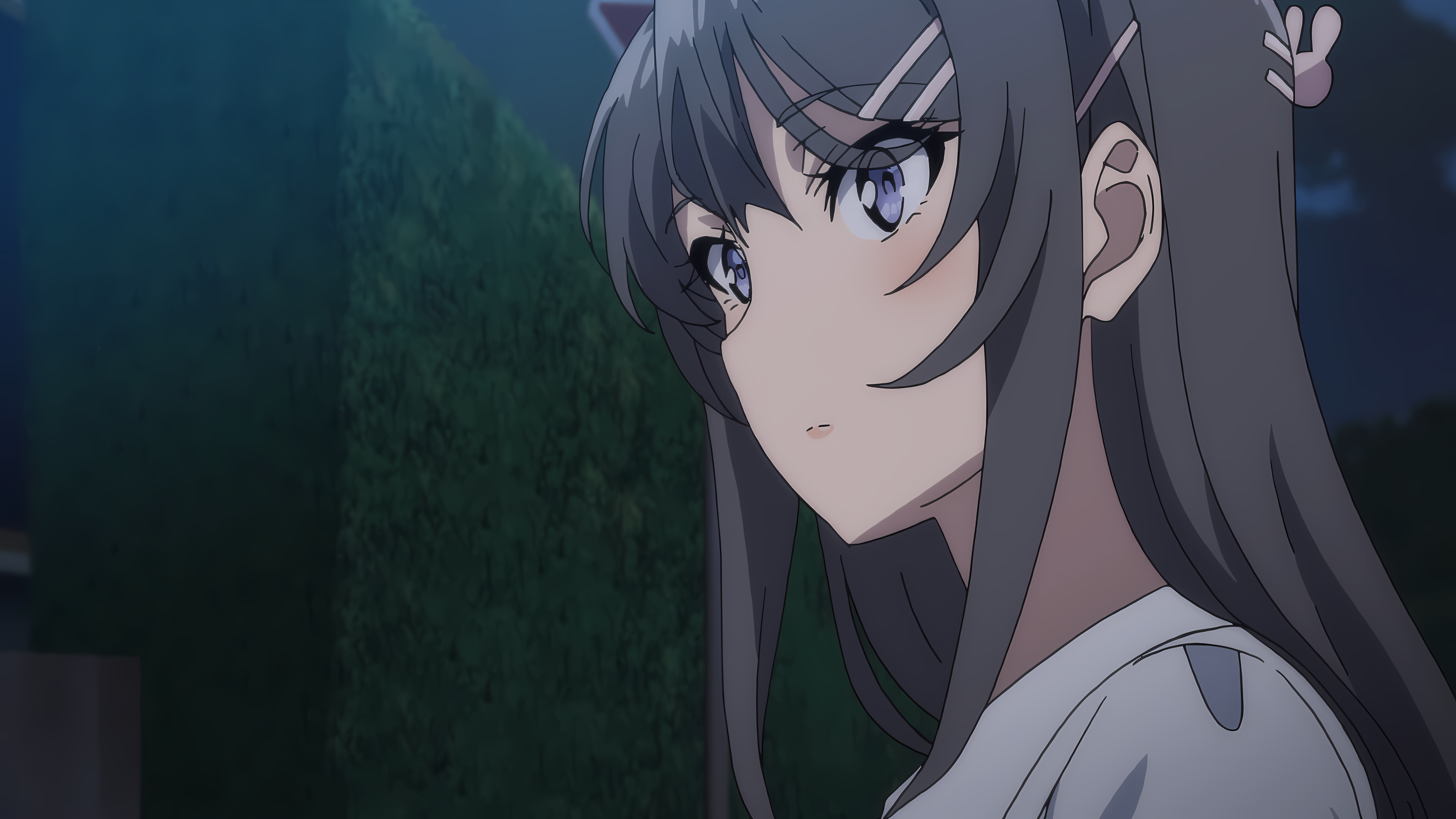 Sakurajima Mai Seishun Buta Yar Wa Bunny Girl Senpai No Yume Wo Minai Anime Anime Girls 7680x4320