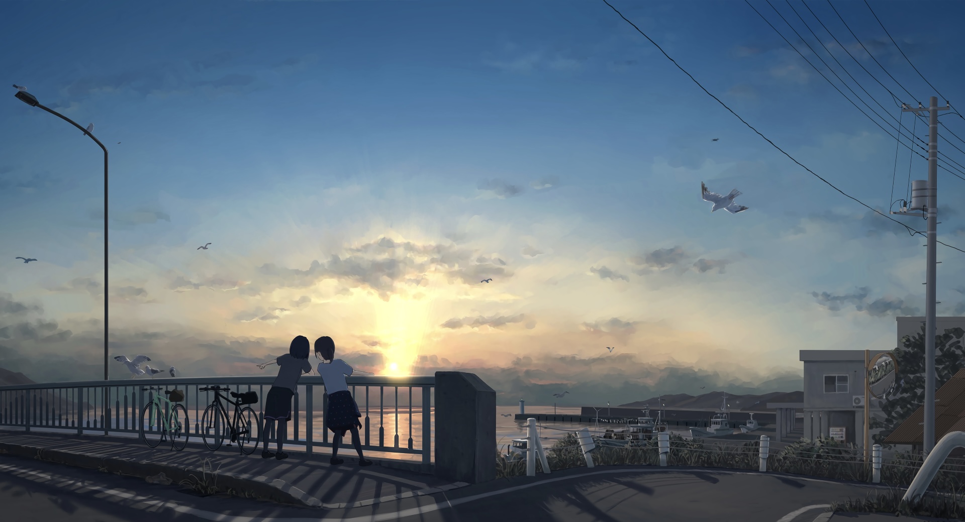 Summer Sunset Anime Girls Sky Clouds Bicycle Birds Animals 1920x1039