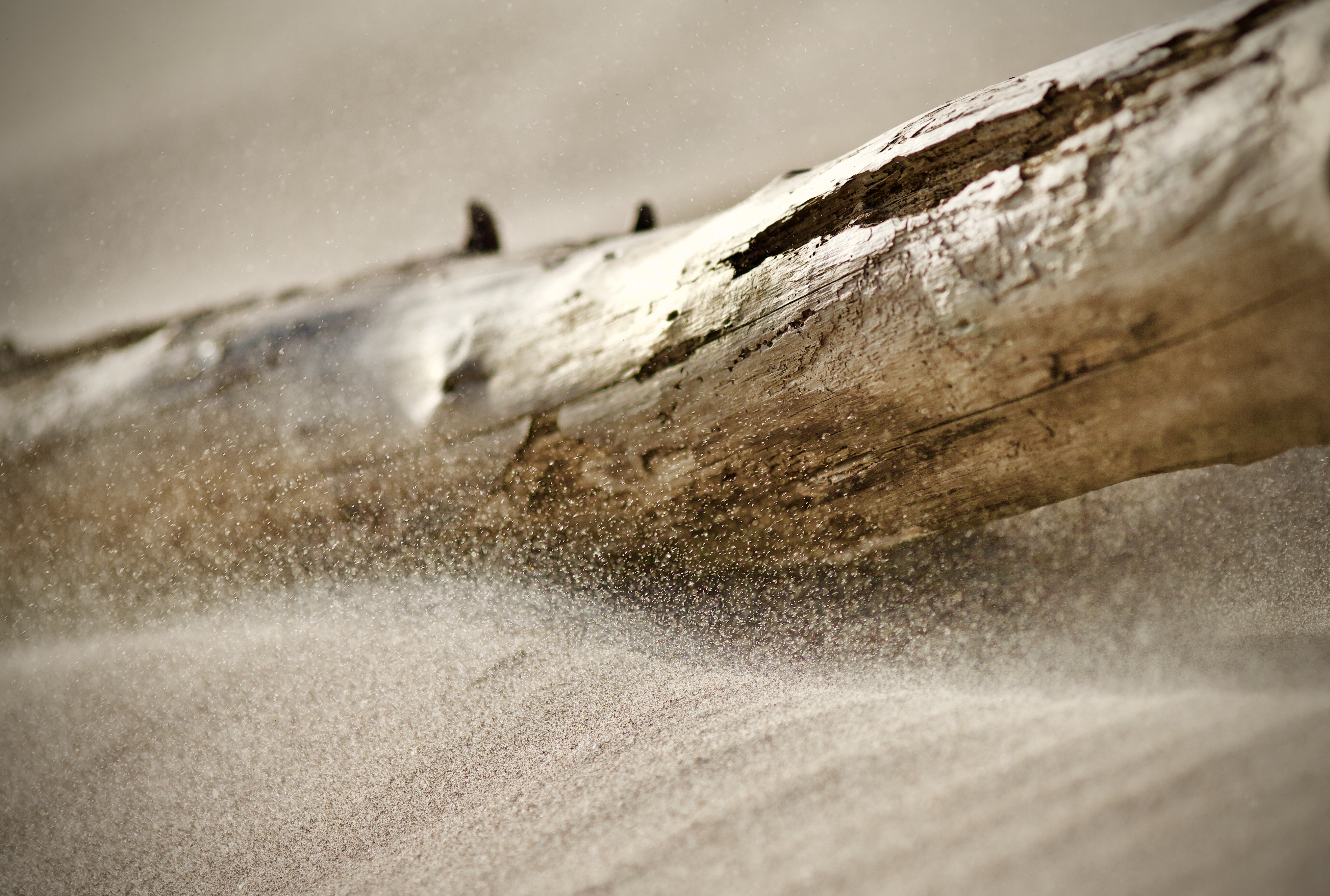 Photography Log Simple Background Sand Sand Particle Closeup 3937x2652