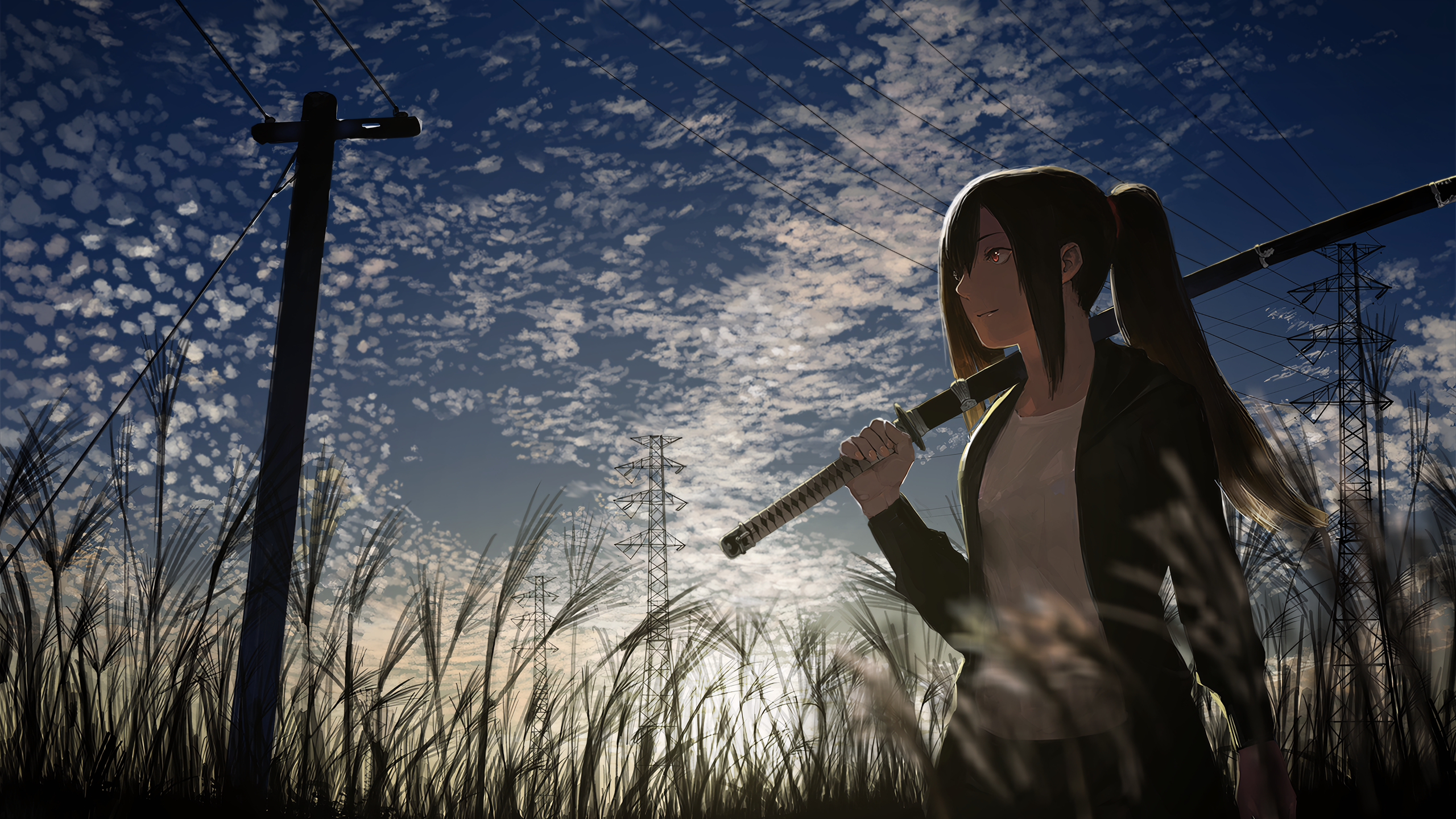 Anime Anime Girls Original Characters Sword Katana Brunette Ponytail Grass Clouds Power Lines Women  2560x1440