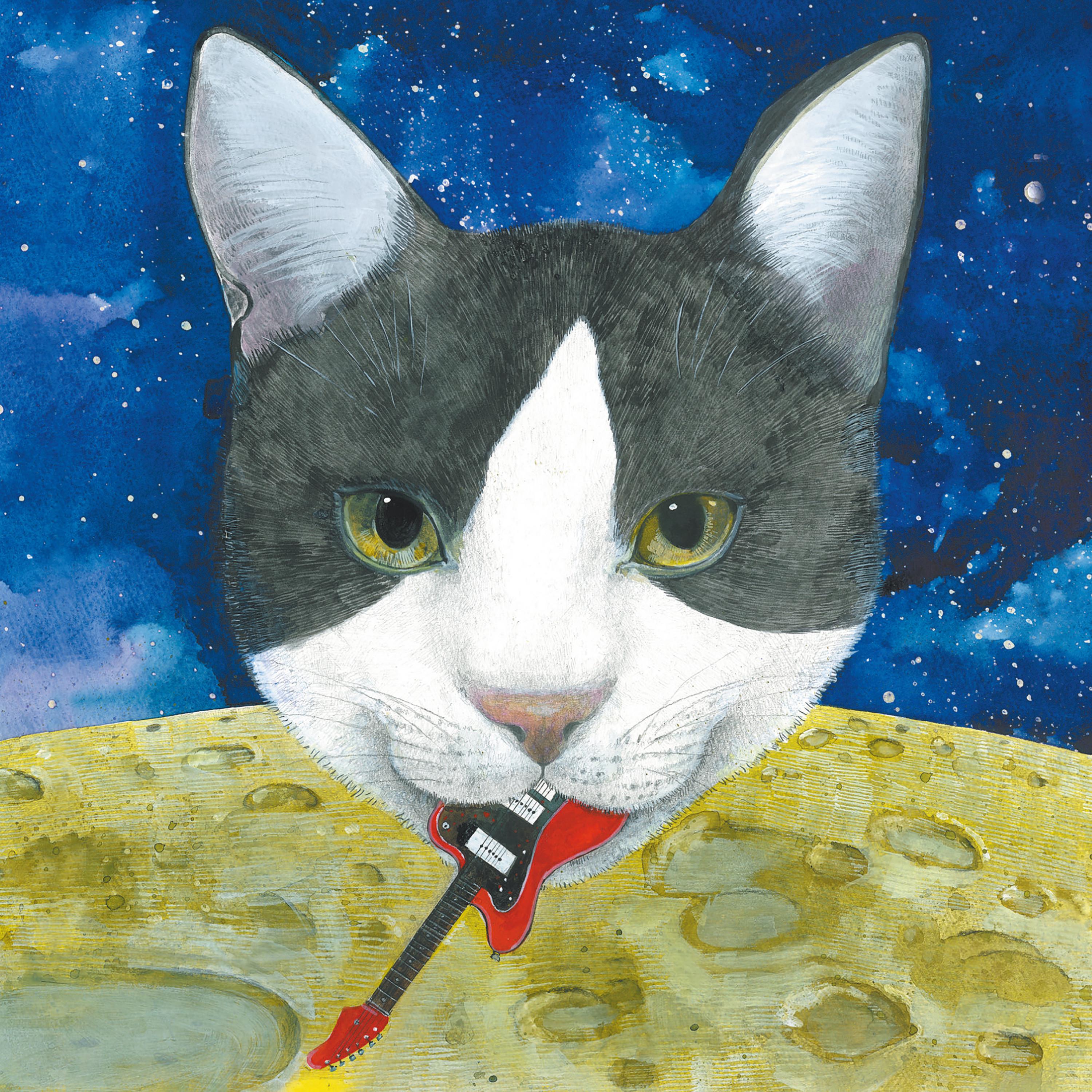 Album Covers Artwork Moon Cats Animals Guitar Musical Instrument Looking At Viewer Stars Whiskers Di 3000x3000