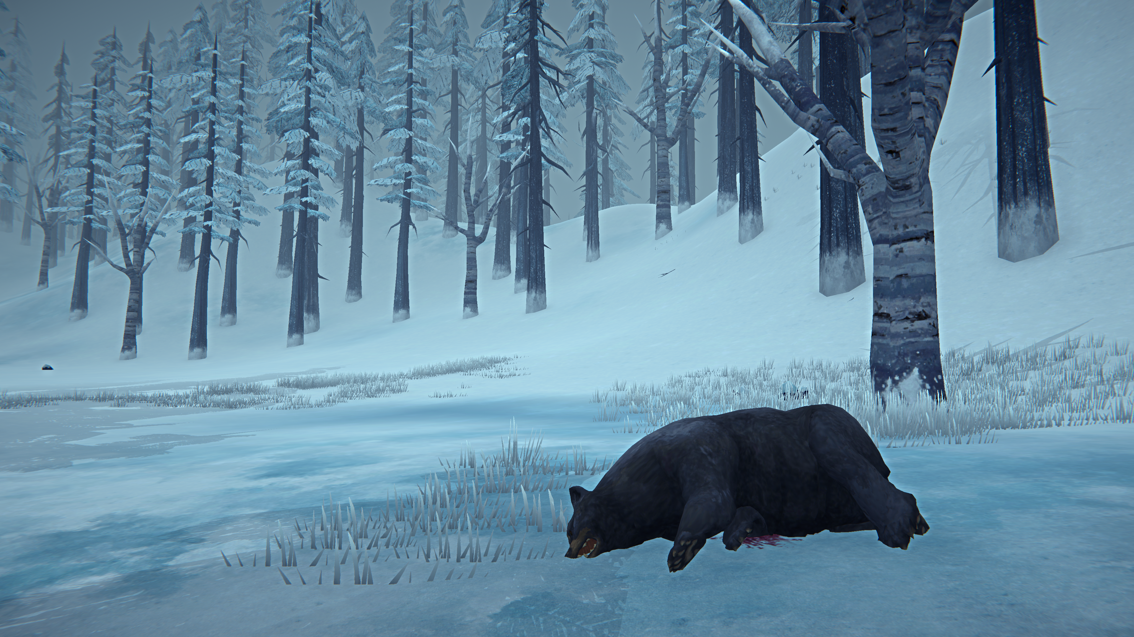 The Long Dark PC Gaming Video Games Video Game Landscape Survival Screen Shot Snow Bears Hunting Win 3840x2160