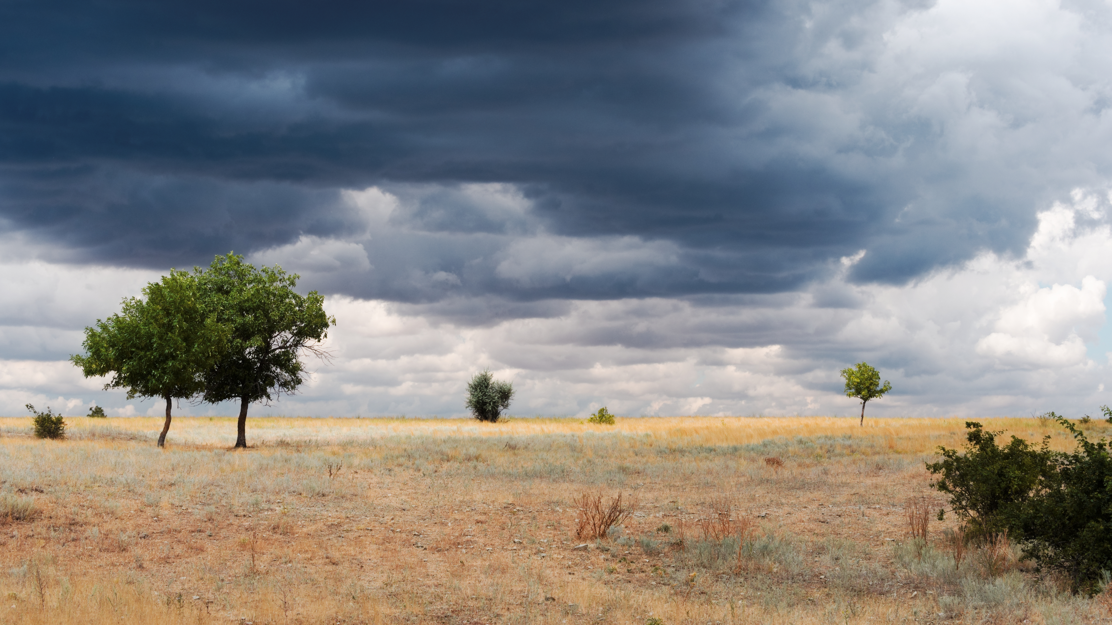 Clouds Trees Landscape Overcast Wasteland Sky 3840x2160